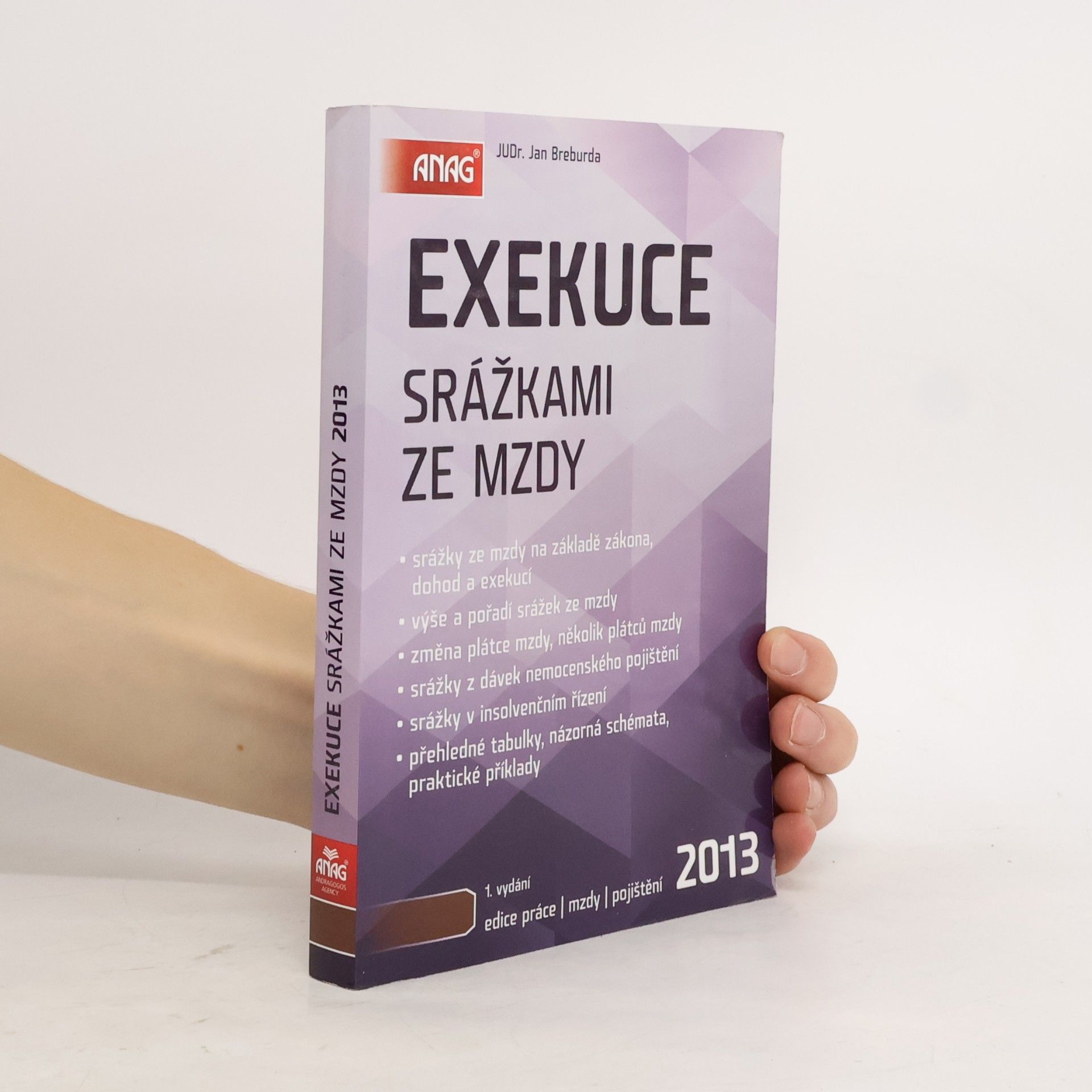 Jan Breburda Exekuce srážkami ze mzdy 2013