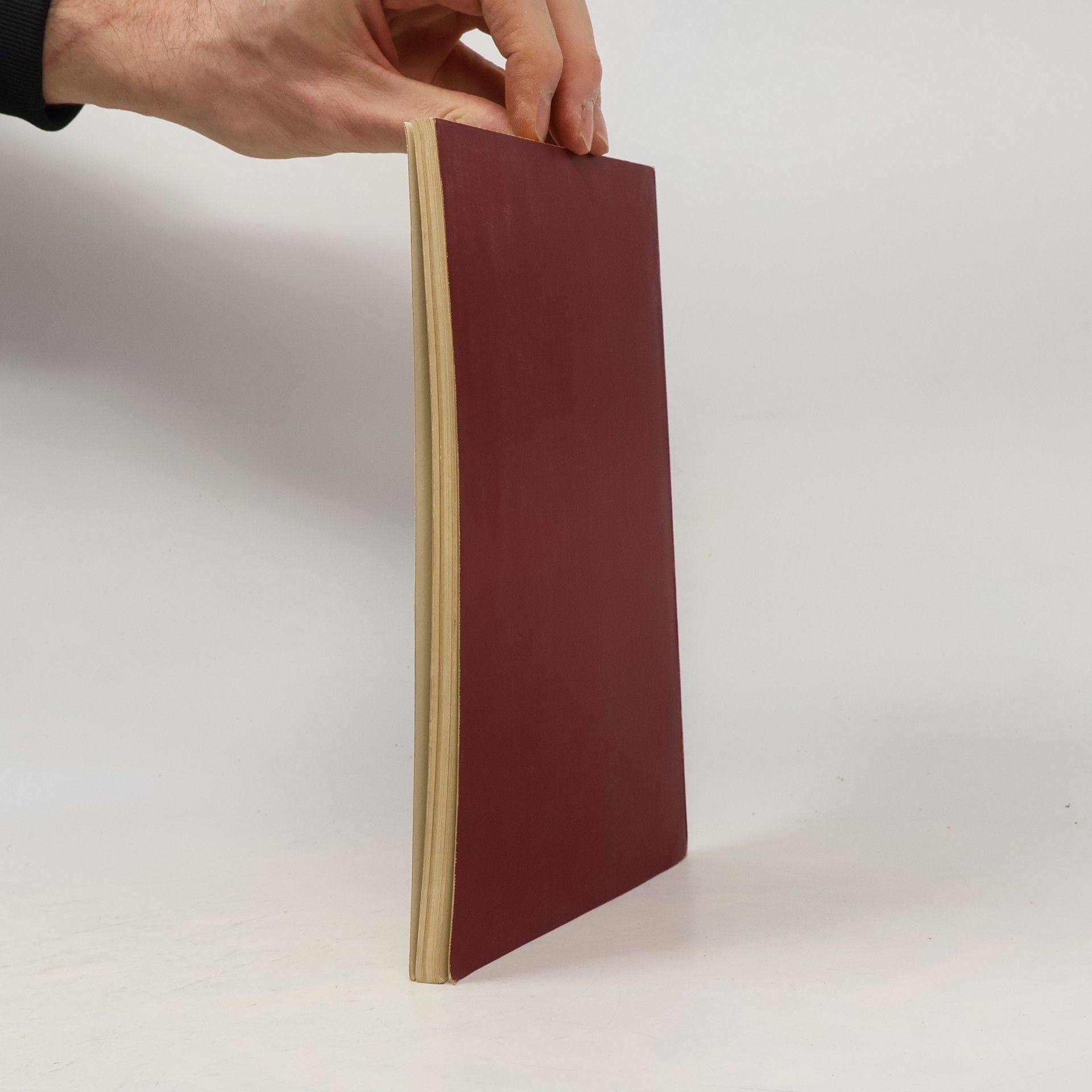 Hubert Knackfuss Künstler Monographien - Michelangelo