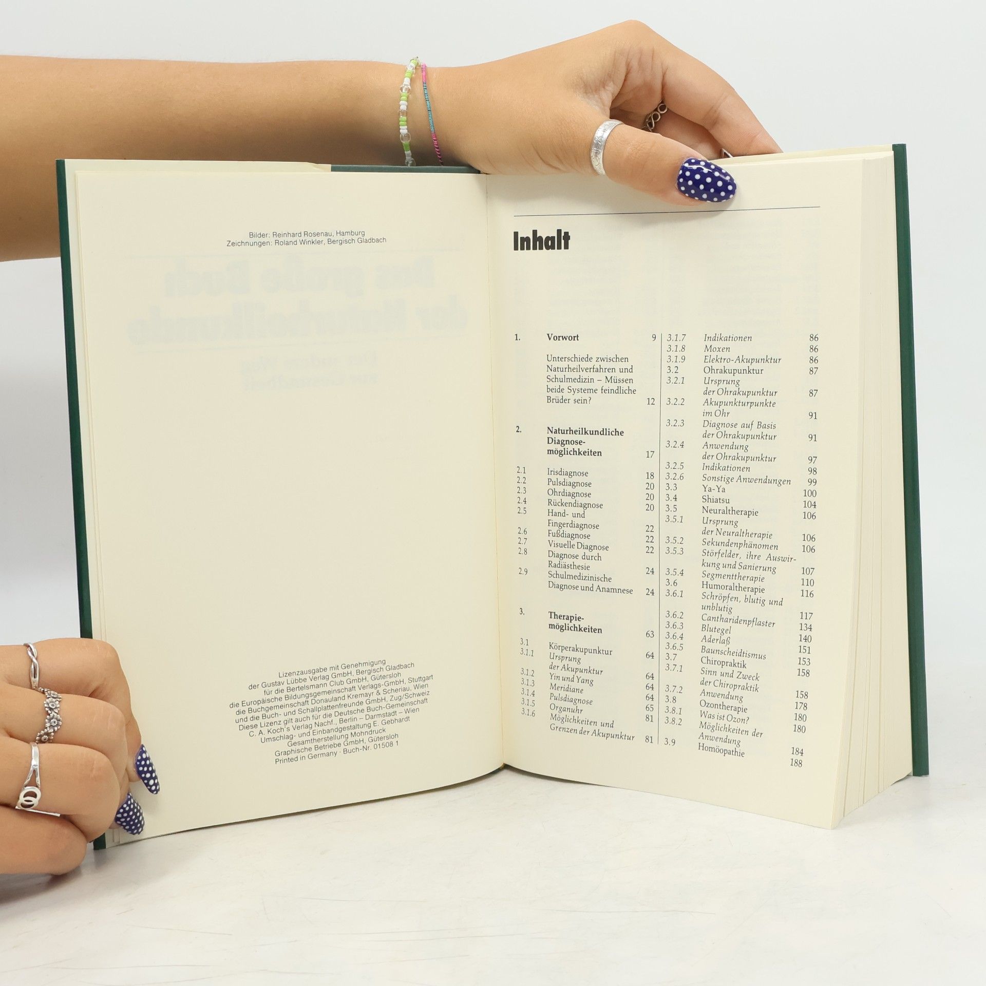 Rolf Stühmer Das große Buch der Naturheilkunde