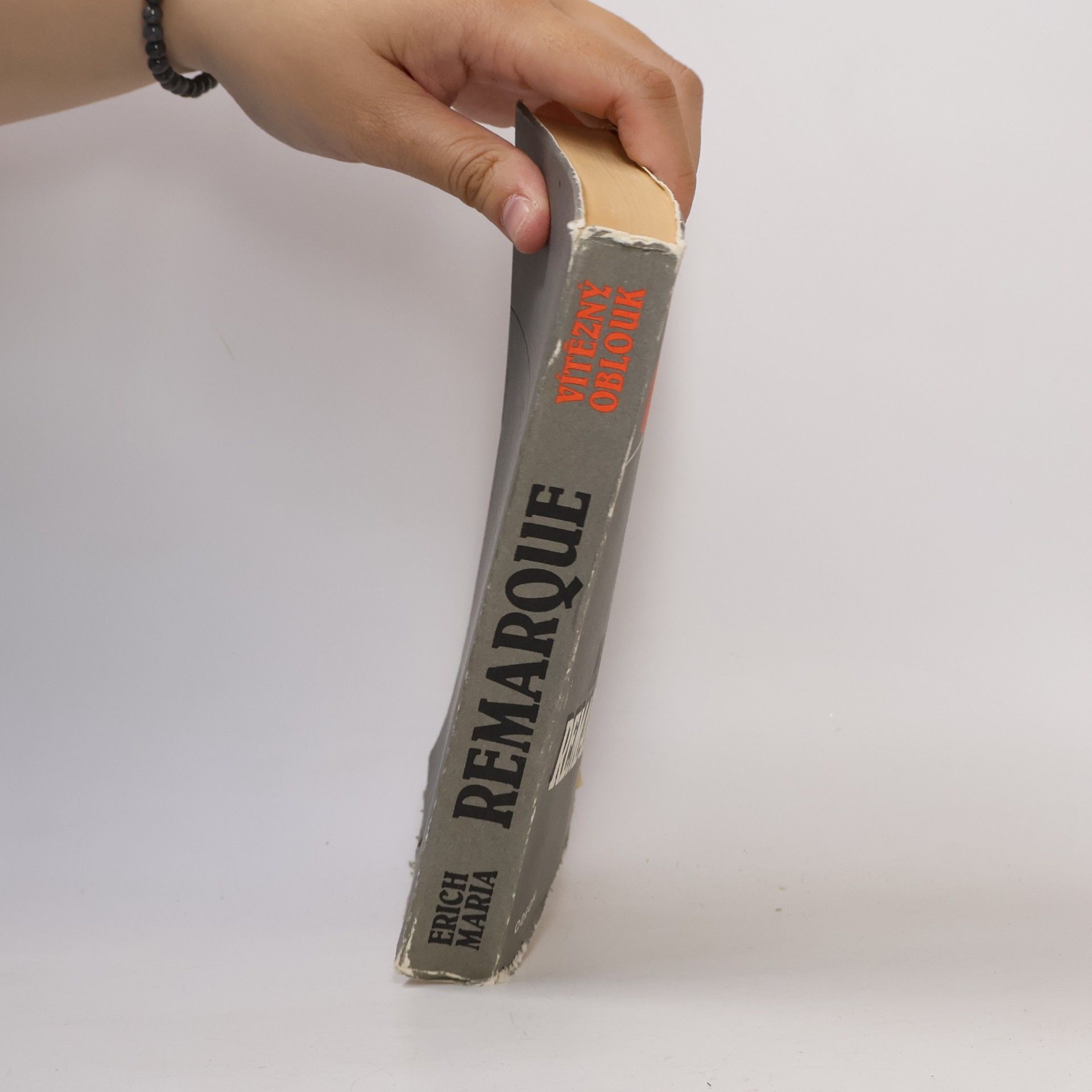 Erich Maria Remarque Vítězný oblouk