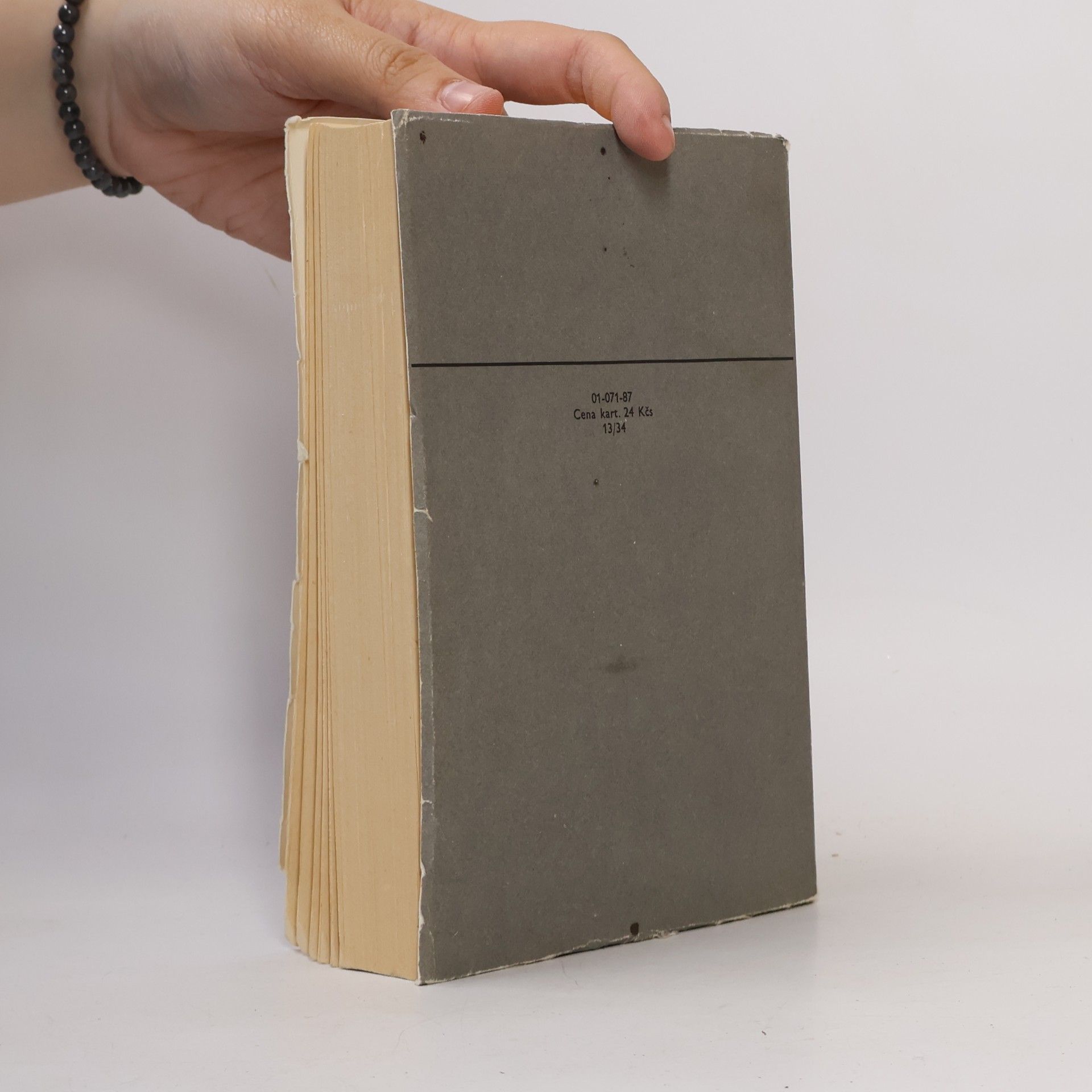 Erich Maria Remarque Vítězný oblouk
