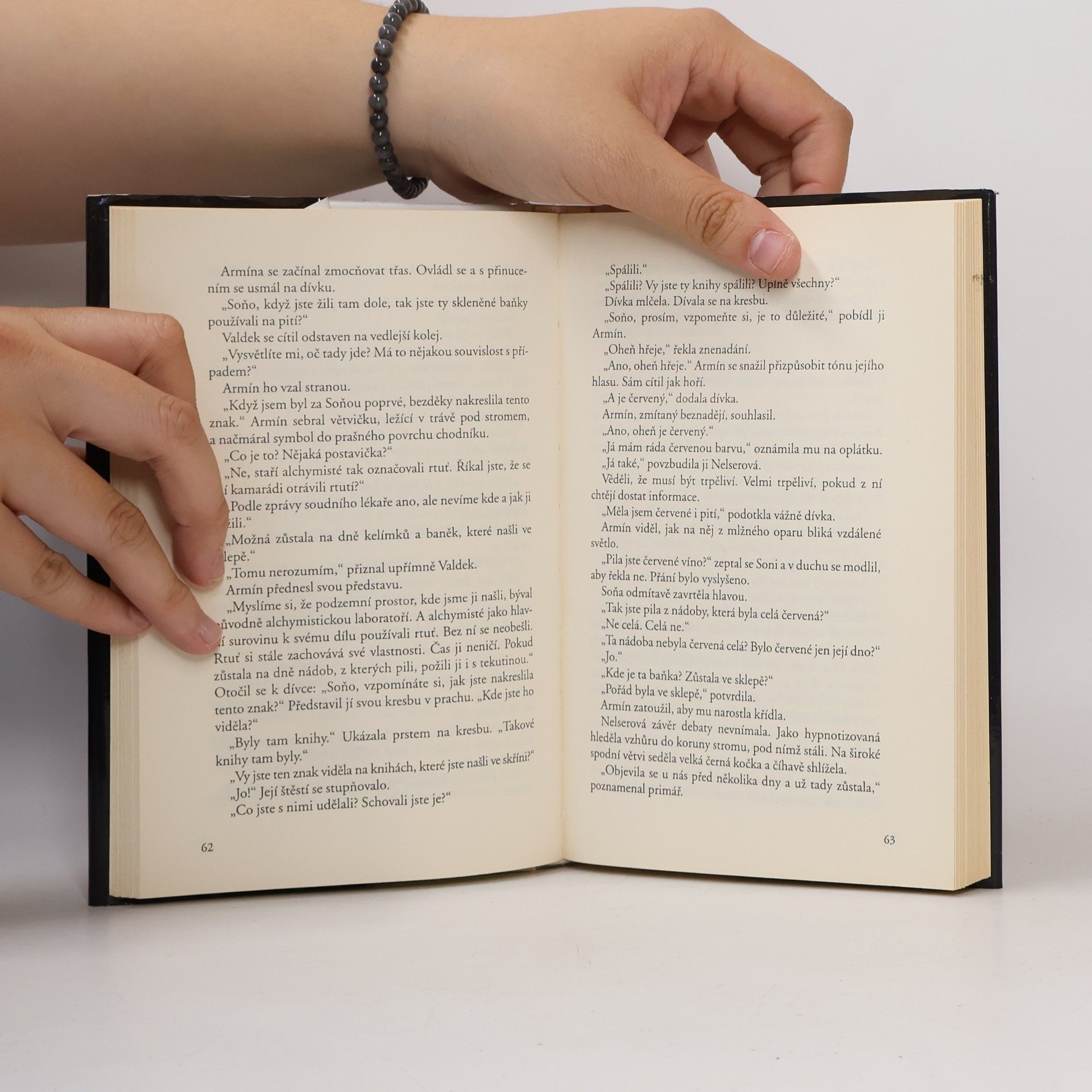 Arnošt Vašíček Strážce duší 2