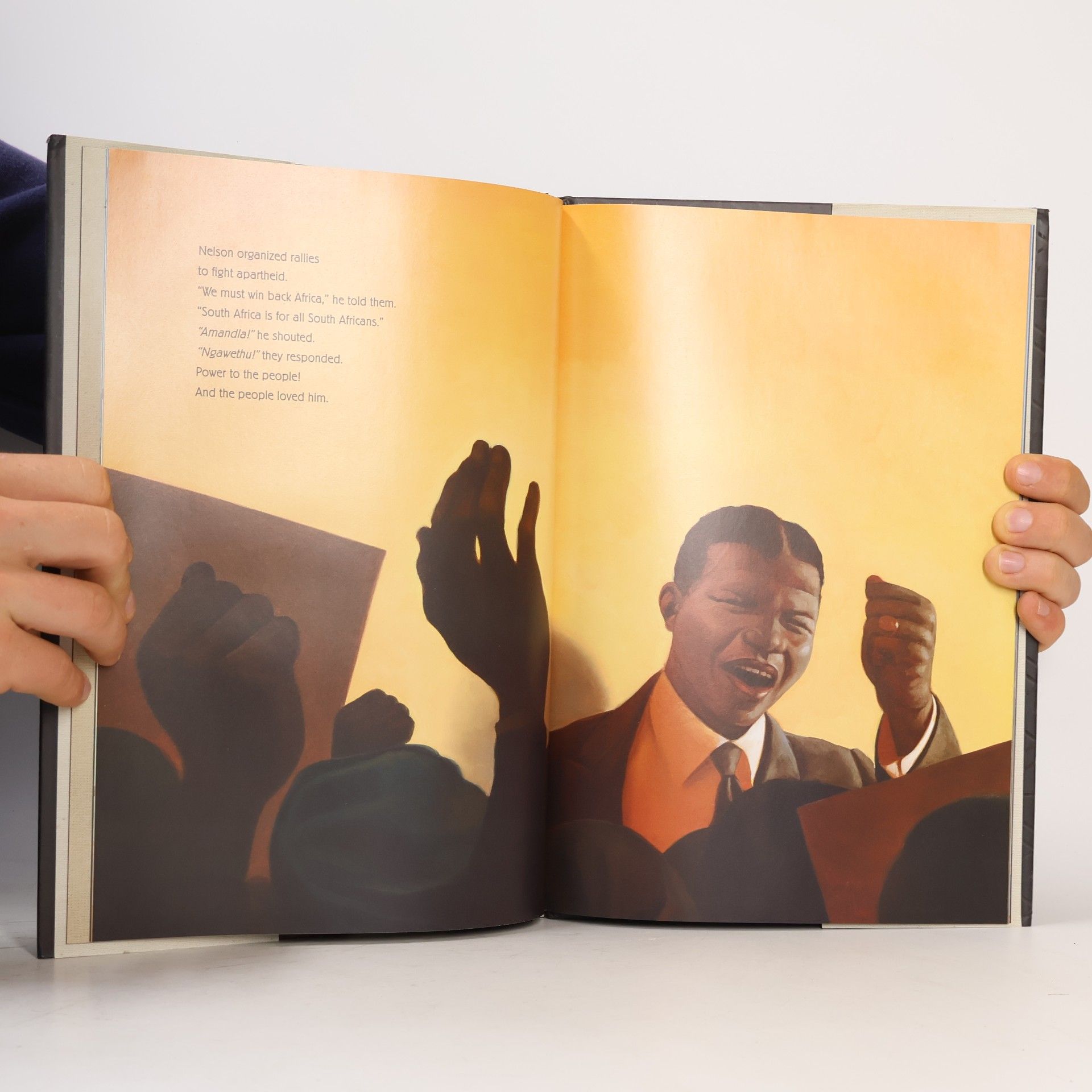 Kadir Nelson Nelson Mandela
