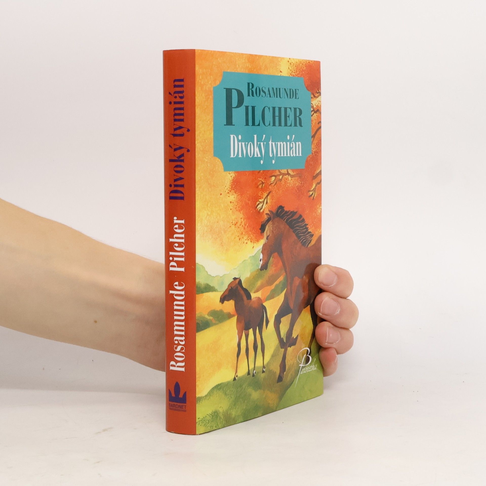 Rosamunde Pilcher Divoký tymián