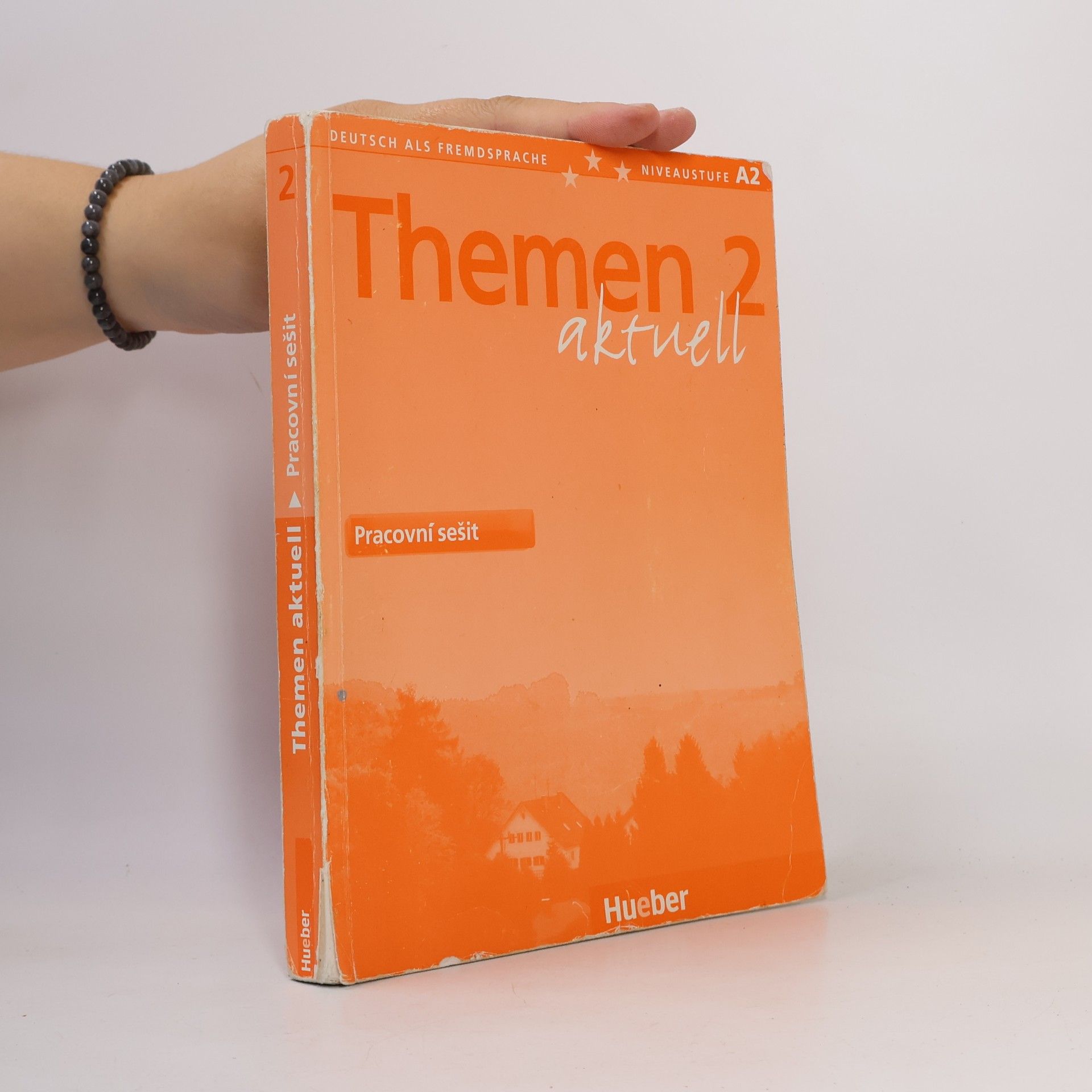 Themen aktuell 2 : pracovní sešit