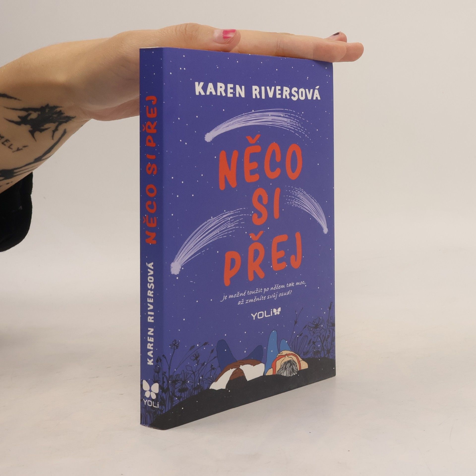 Karen Rivers Něco si přej