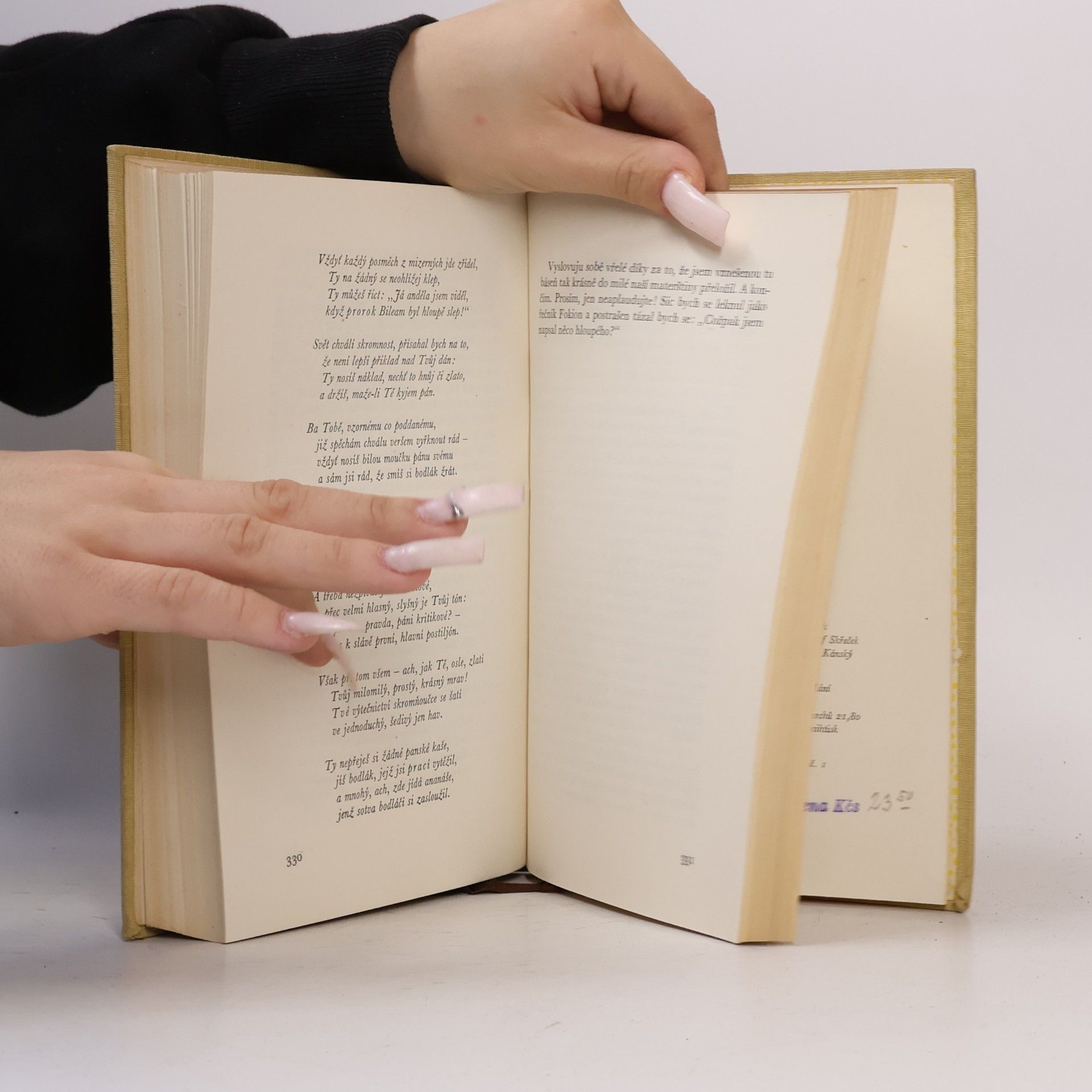 Jan Neruda Studie krátké a kratší I.