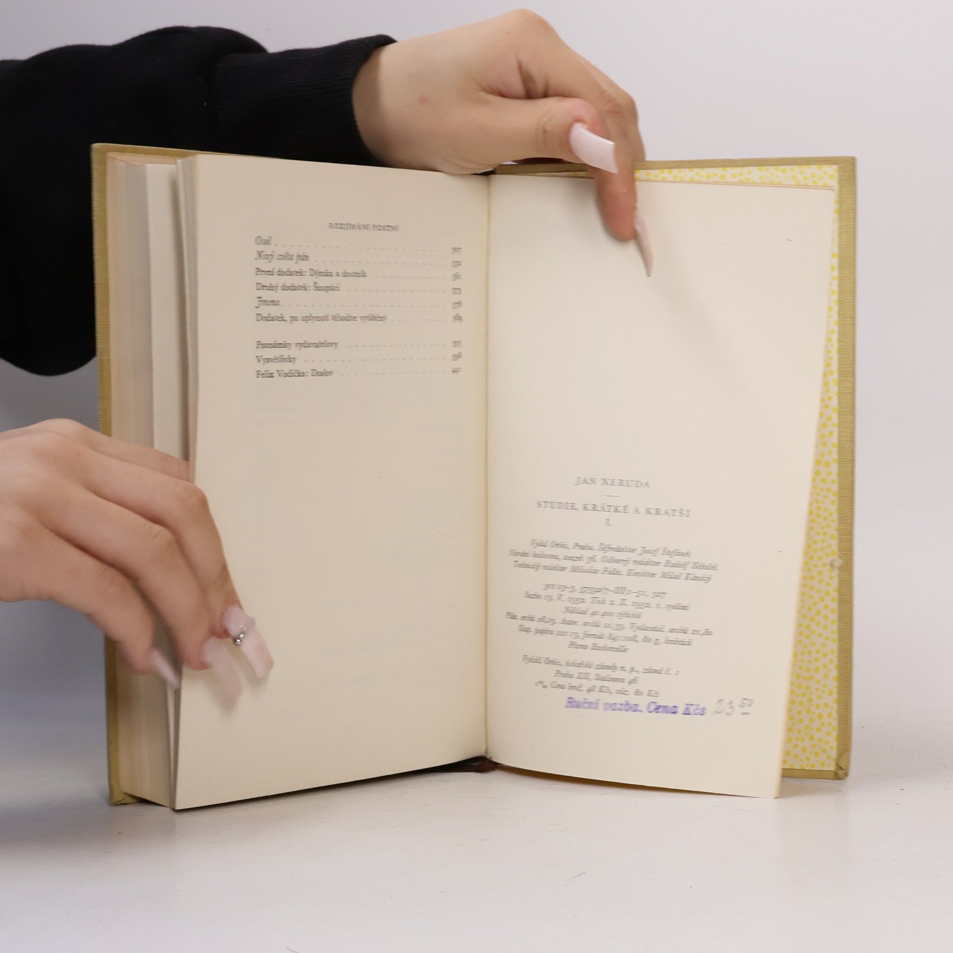 Jan Neruda Studie krátké a kratší I.