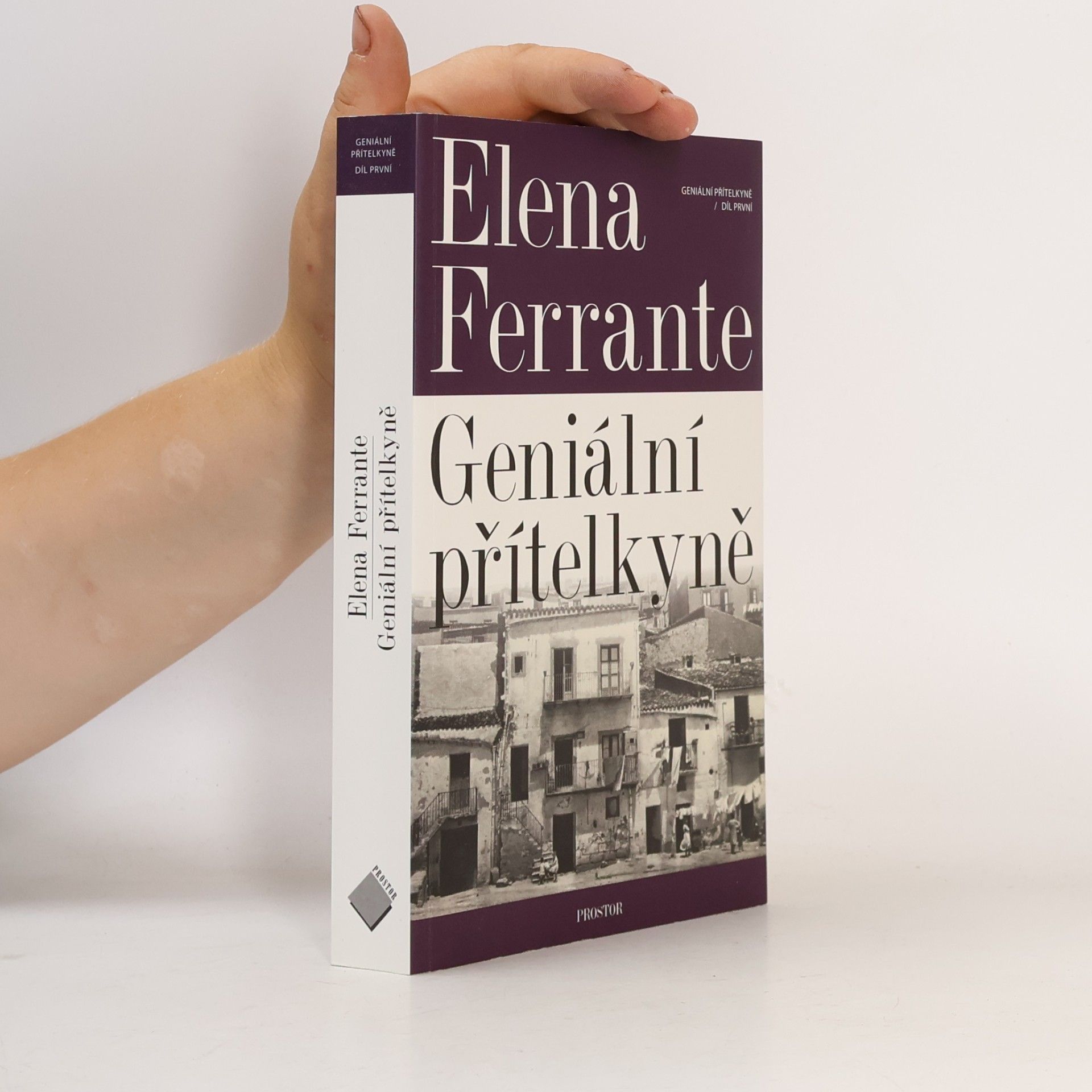 Elena Ferrante Geniální přítelkyně 1. Dětství a dospívání