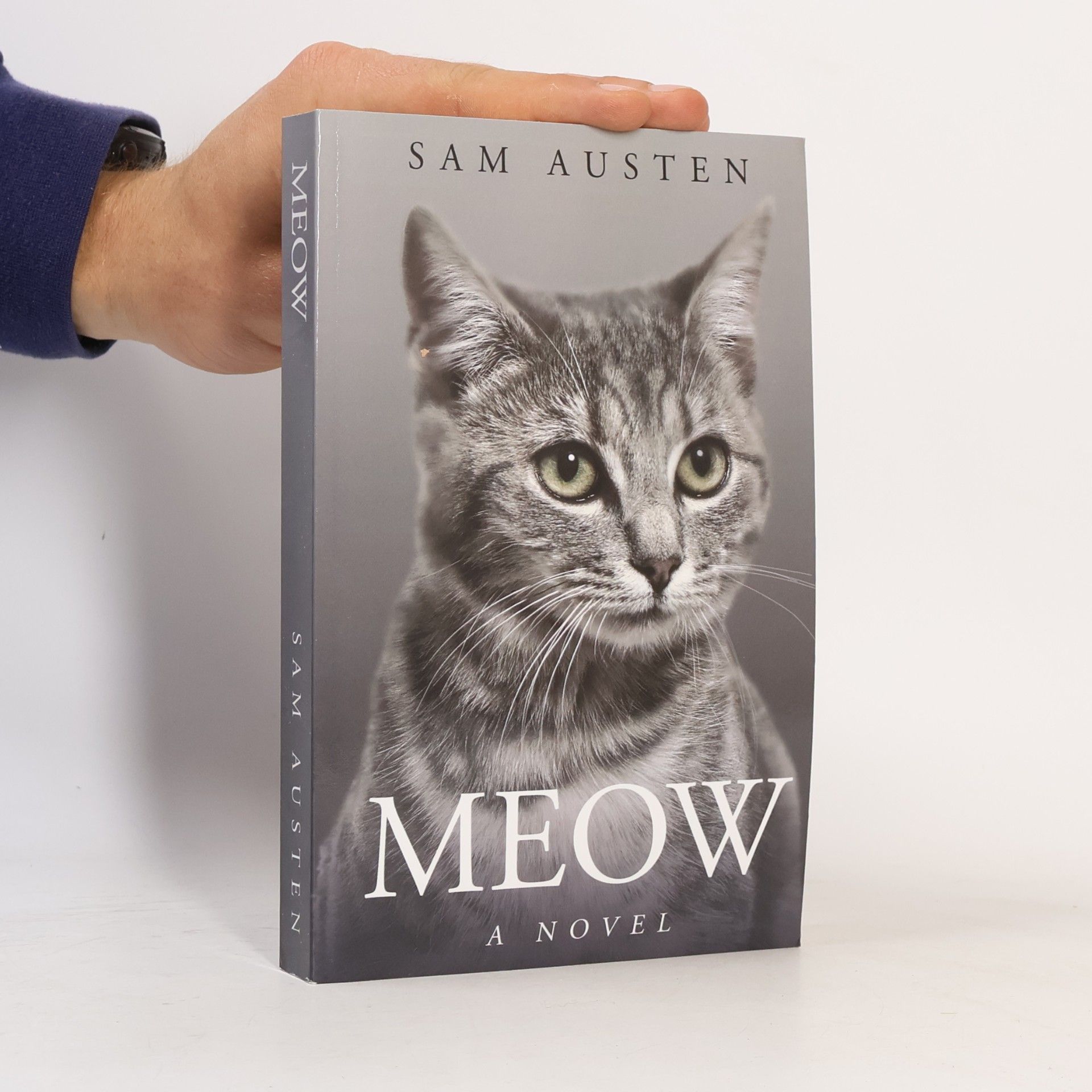 Sam Austen Meow