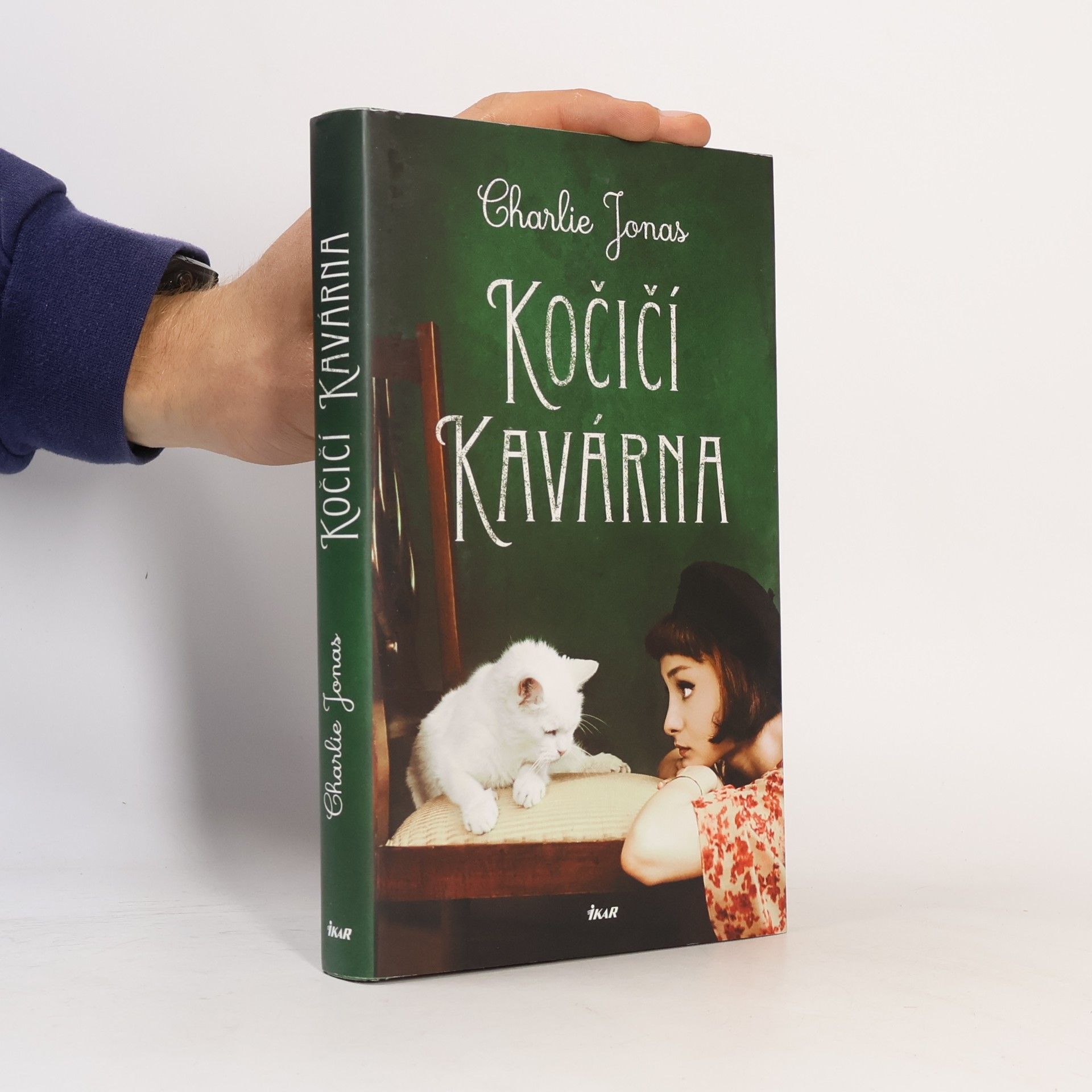 Kočičí kavárna
