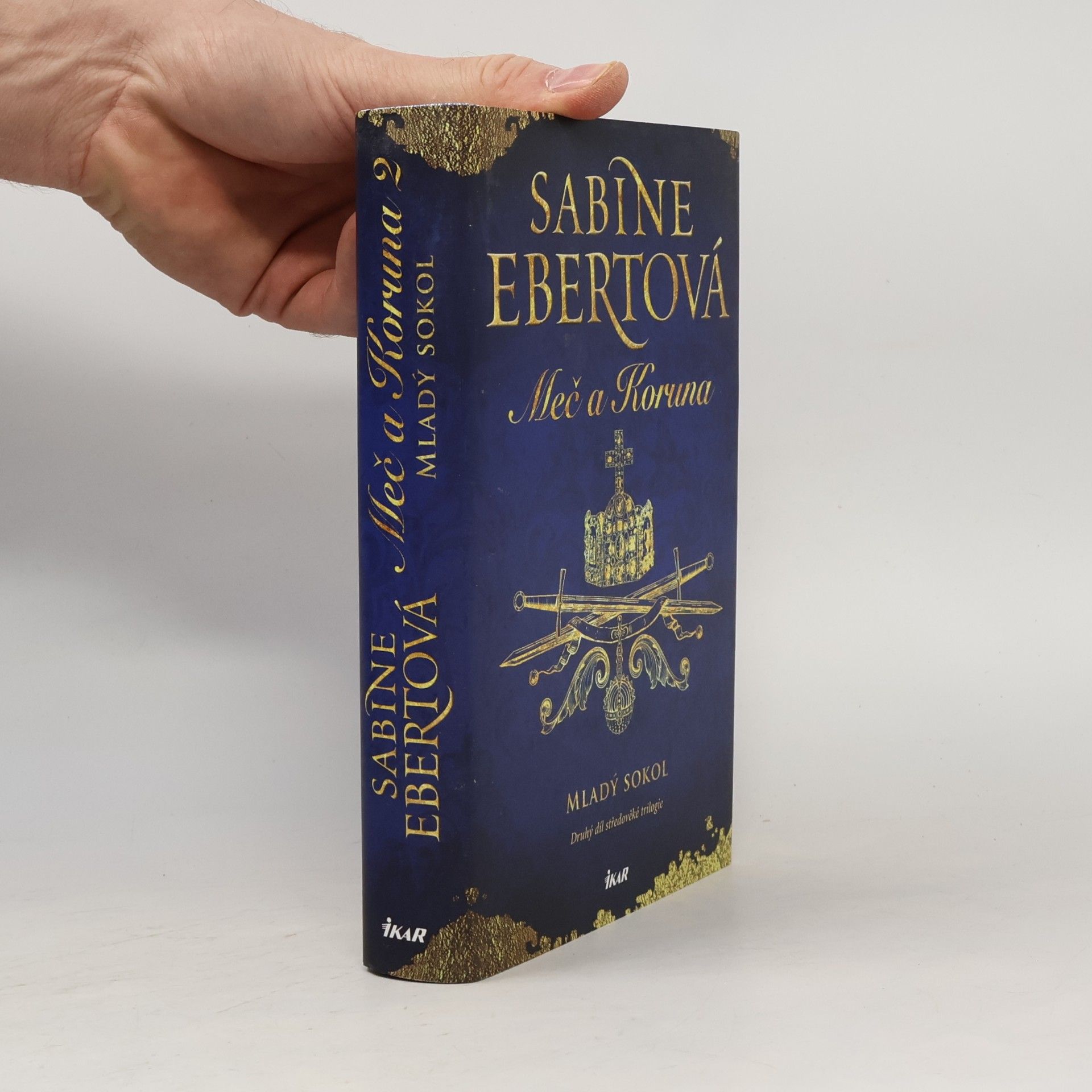 Sabine Ebert Meč a Koruna. Mladý sokol