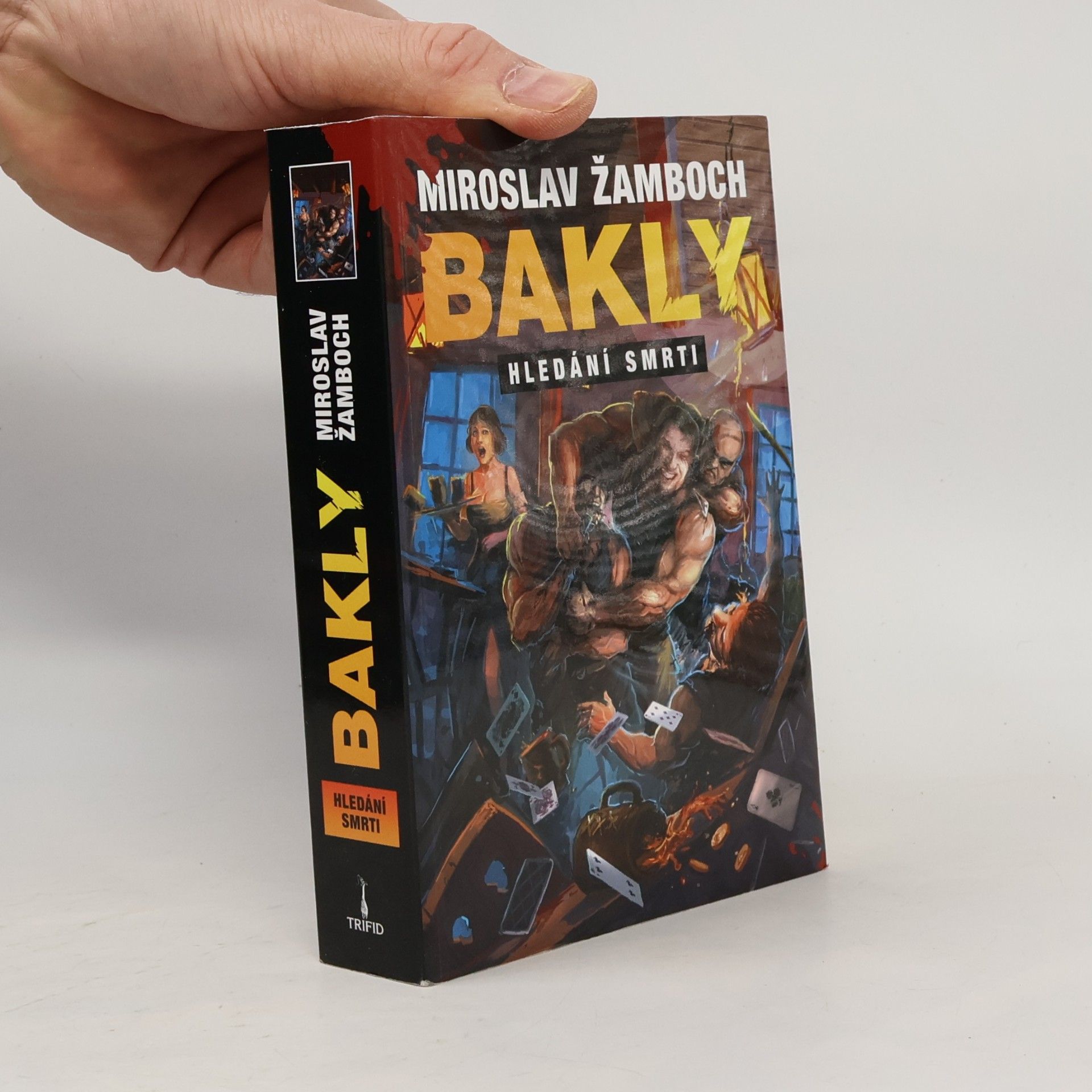 Miroslav Žamboch Bakly: Hledání smrti