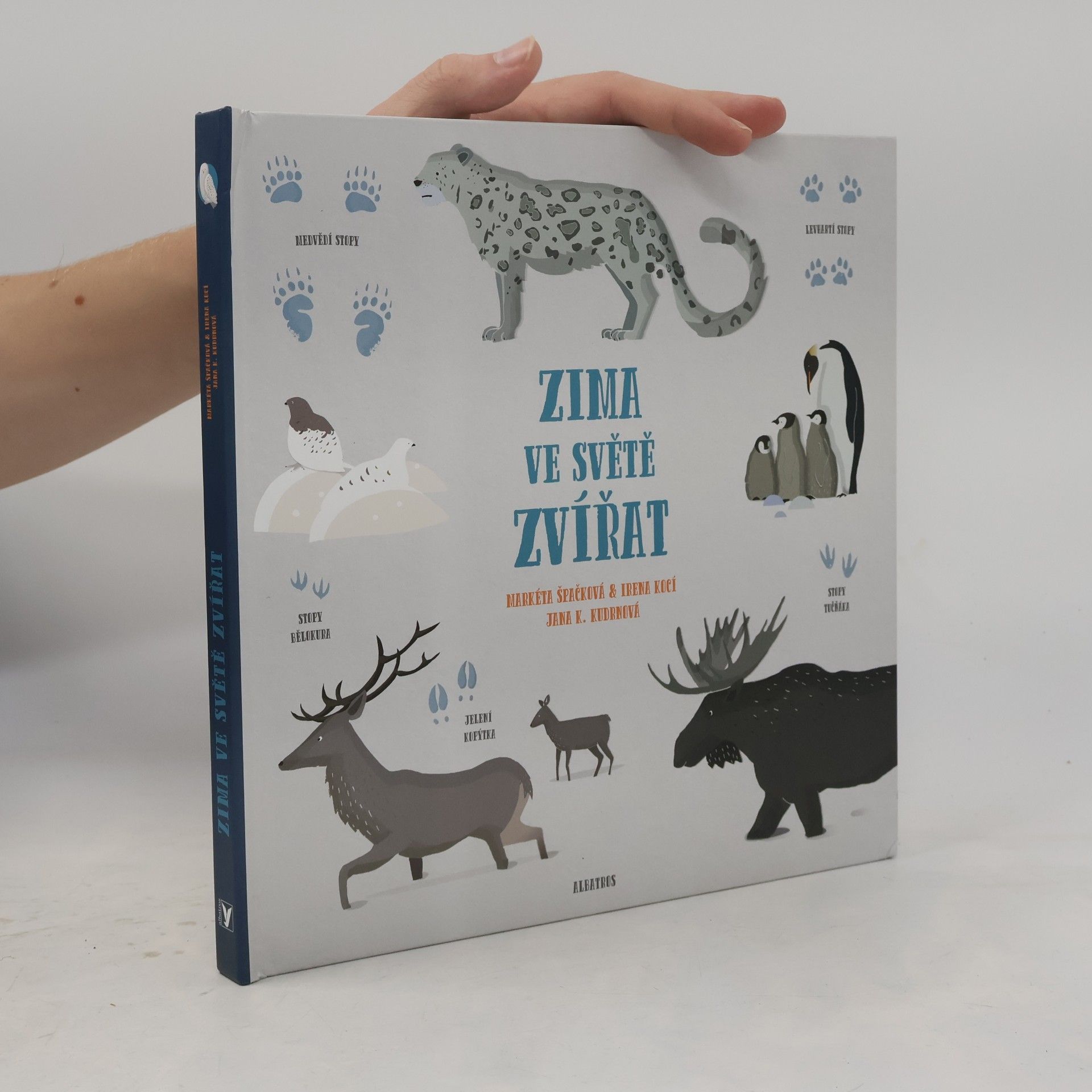 Irena Kocí Zima ve světě zvířat
