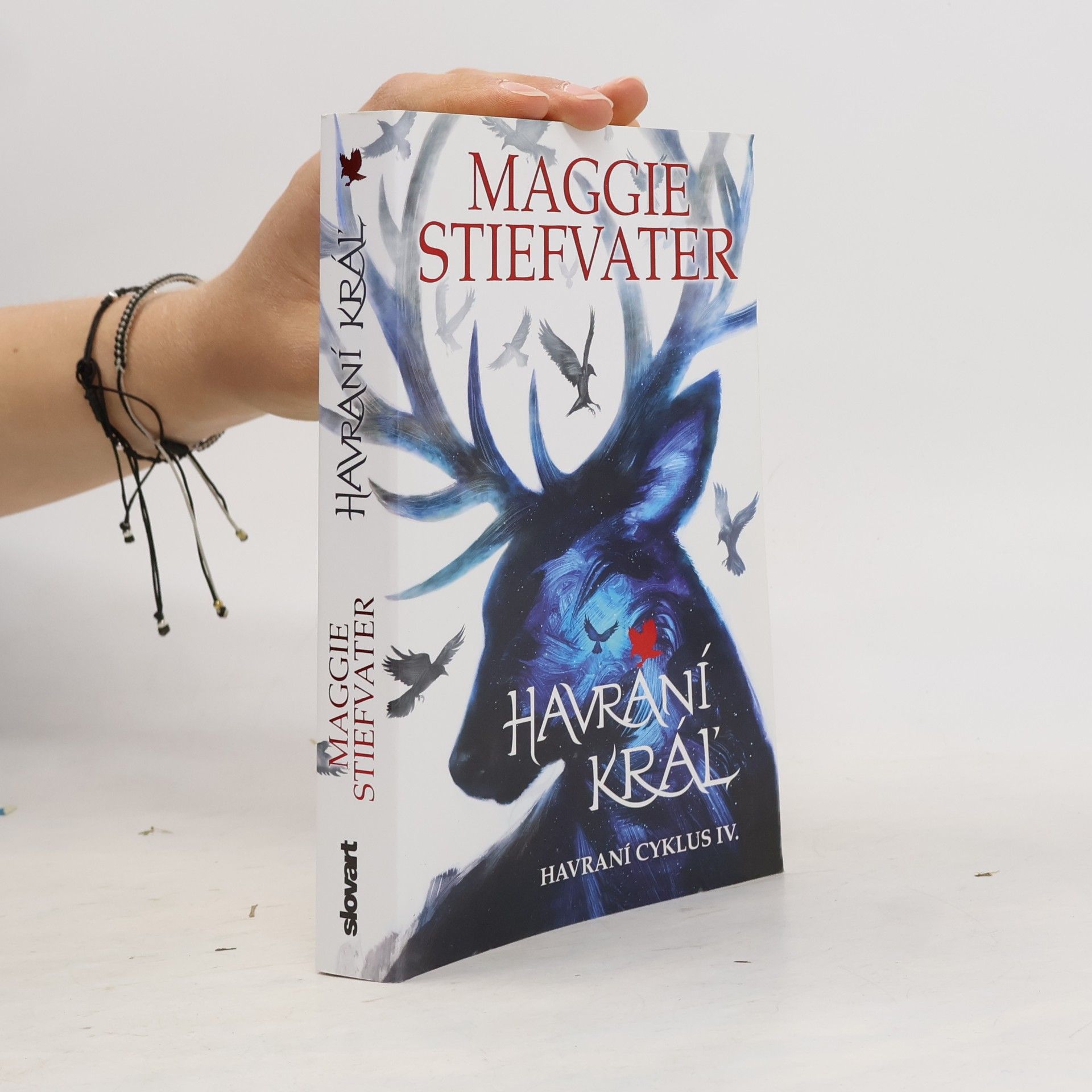 Maggie Stiefvaterová Havraní kráľ