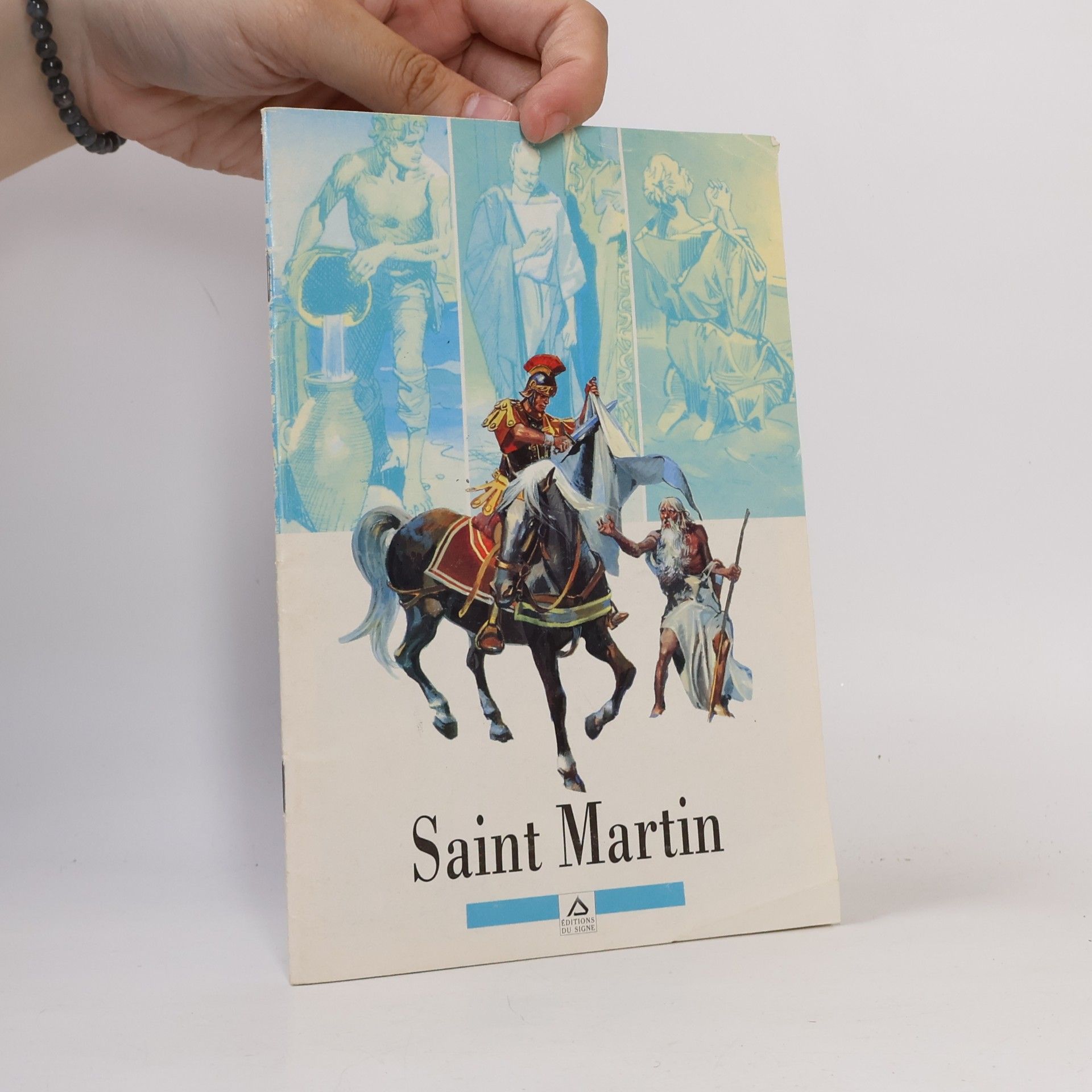 Pierre Frisano Saint Martin