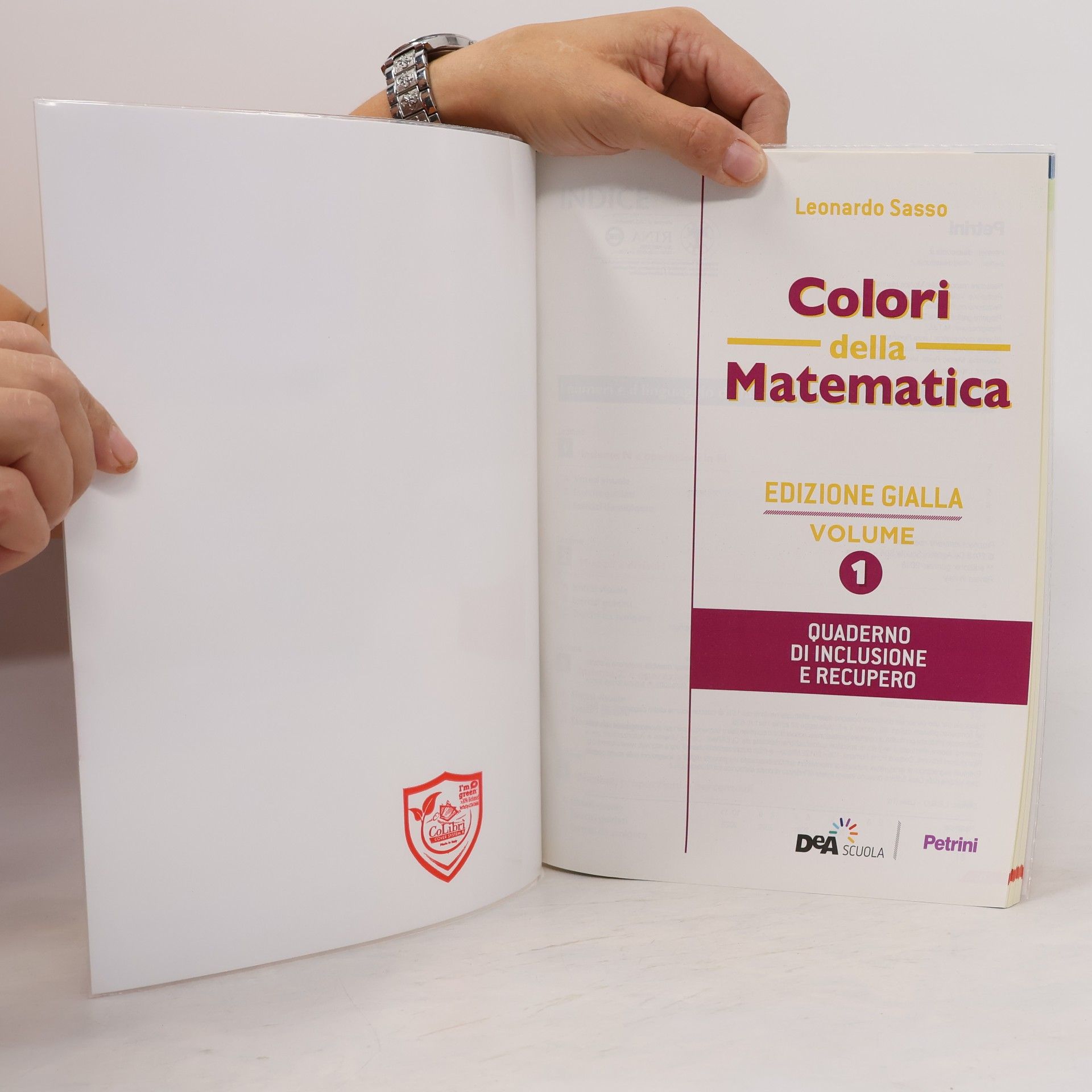 Leonardo Sasso Colori della Matematica