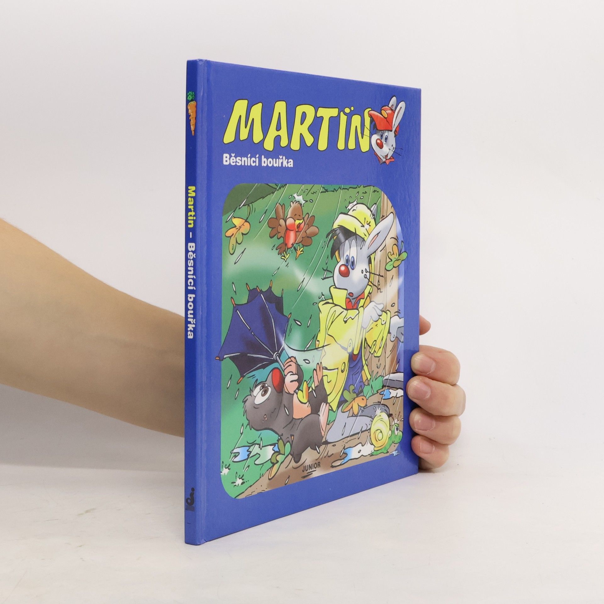 Daniela Řezníčková Martin - Běsnící bouřka