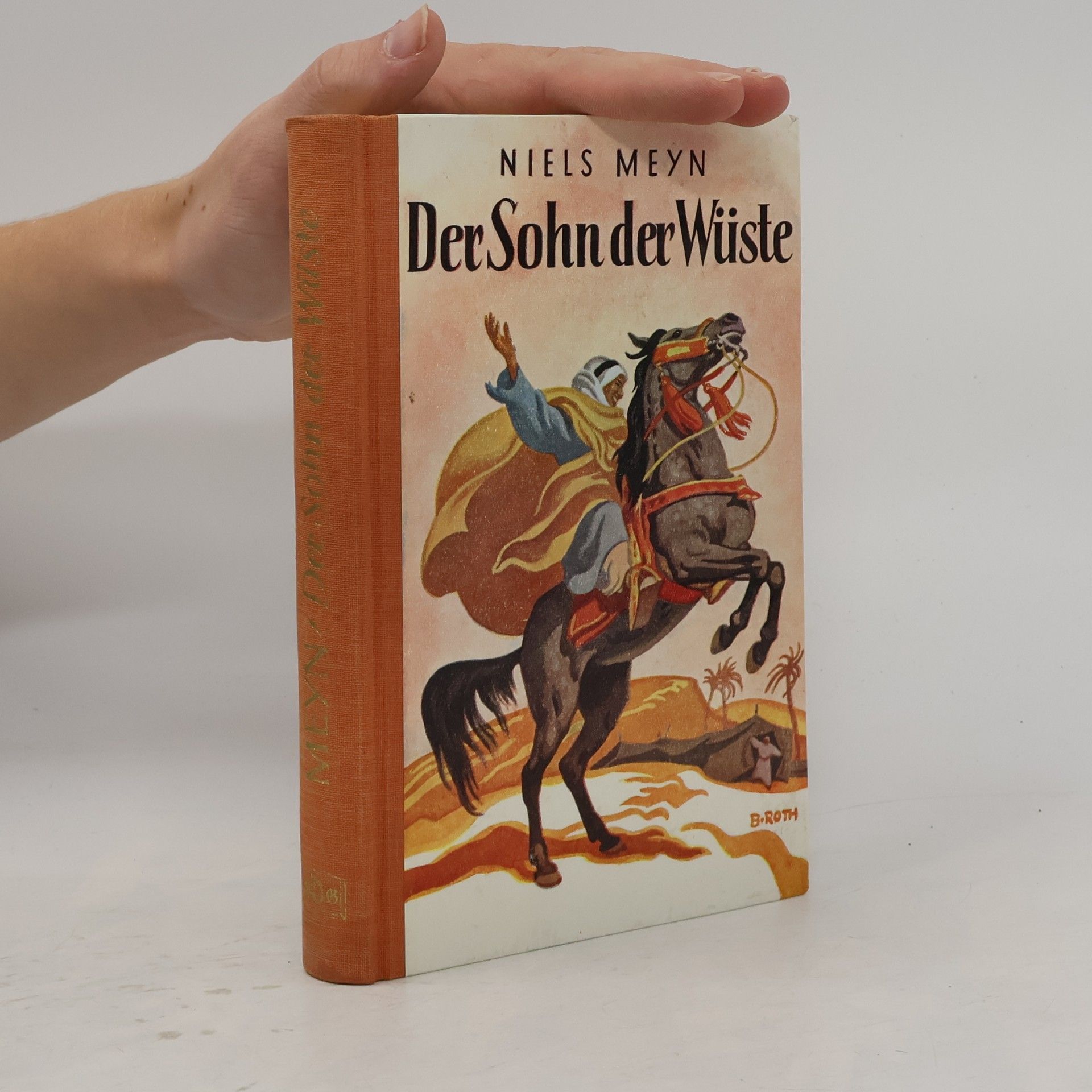 Niels Meyn Der Sohn der Wüste