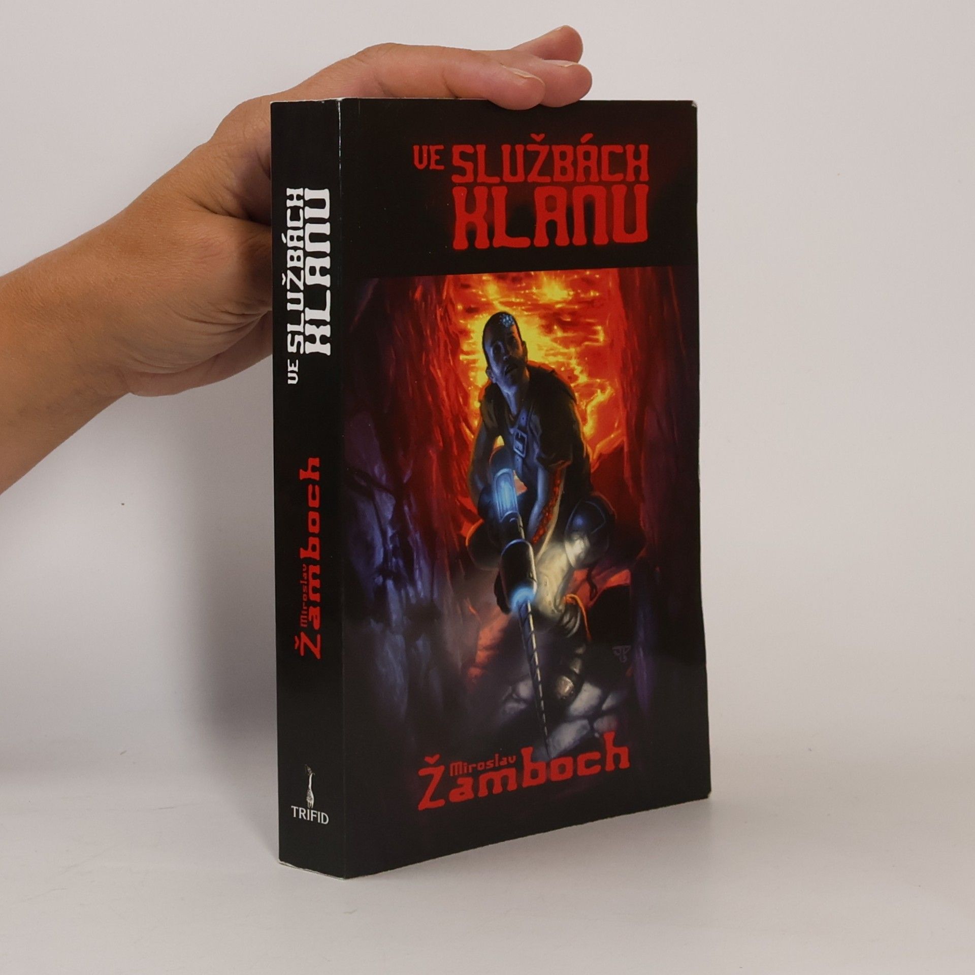 Miroslav Žamboch Ve službách klanu