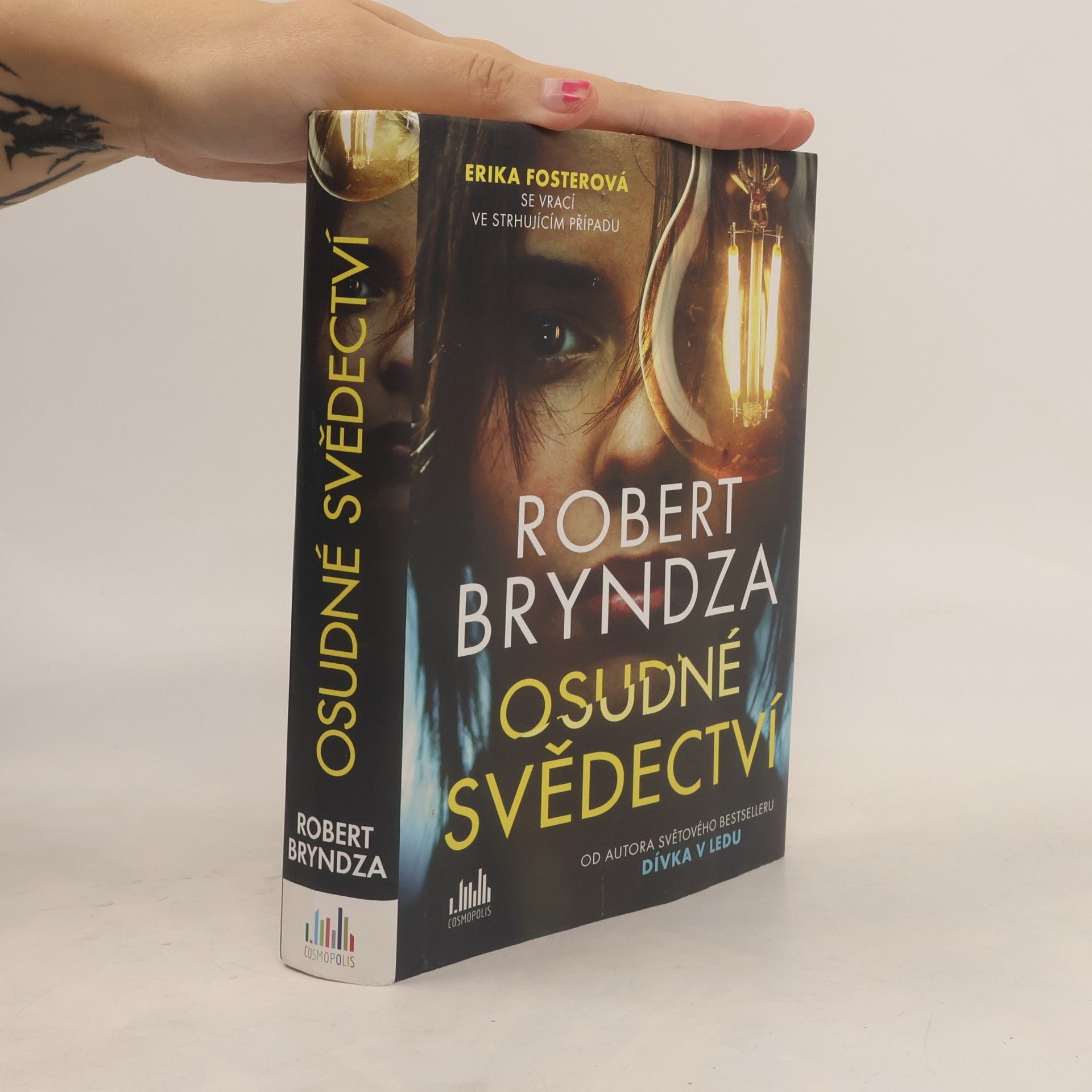 Robert Bryndza Osudné svědectví