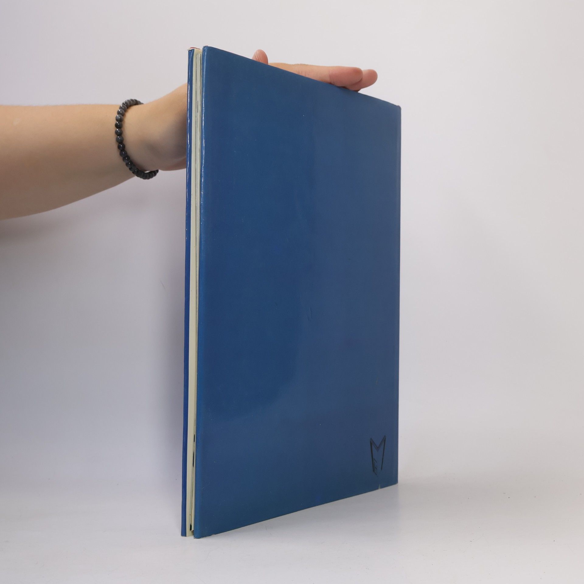 Jean Marie Homet Les Enseignes