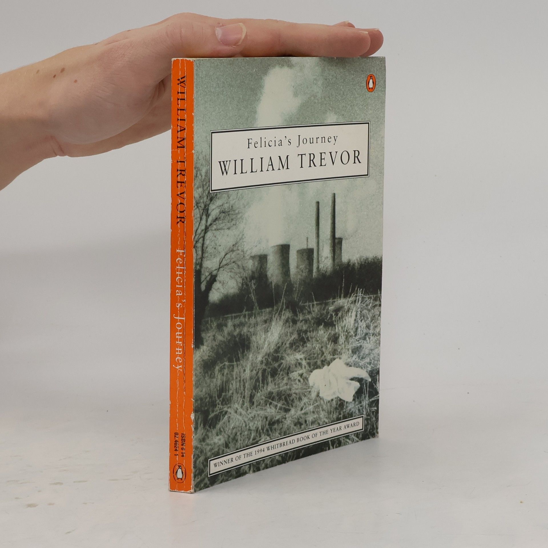 William Trevor Felicia´s Journey