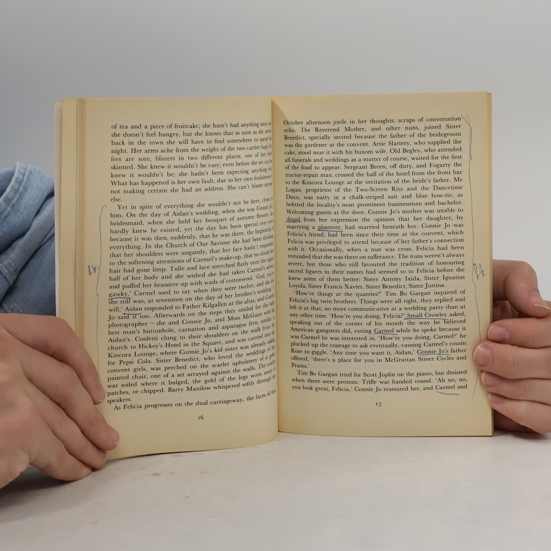 William Trevor Felicia´s Journey