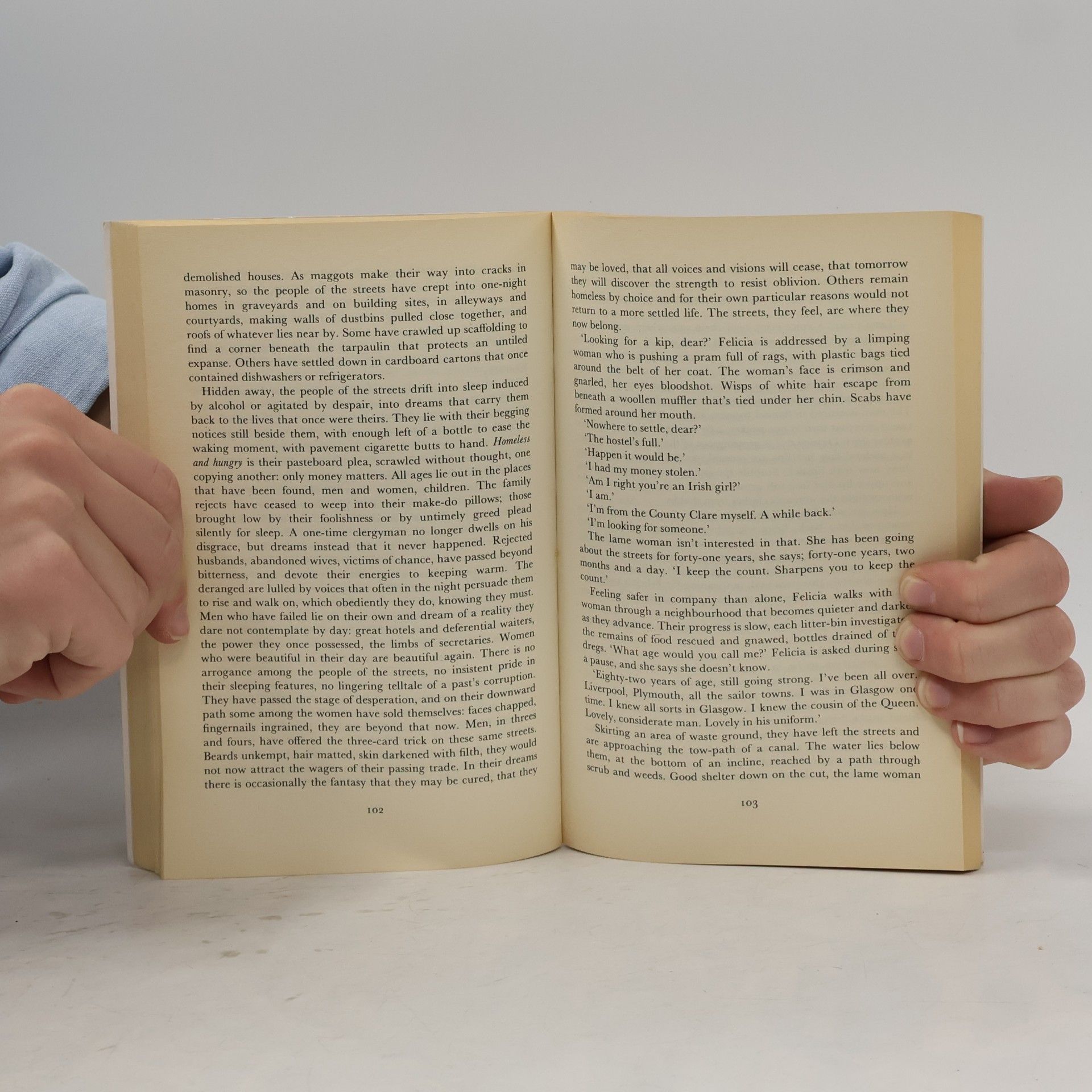 William Trevor Felicia´s Journey