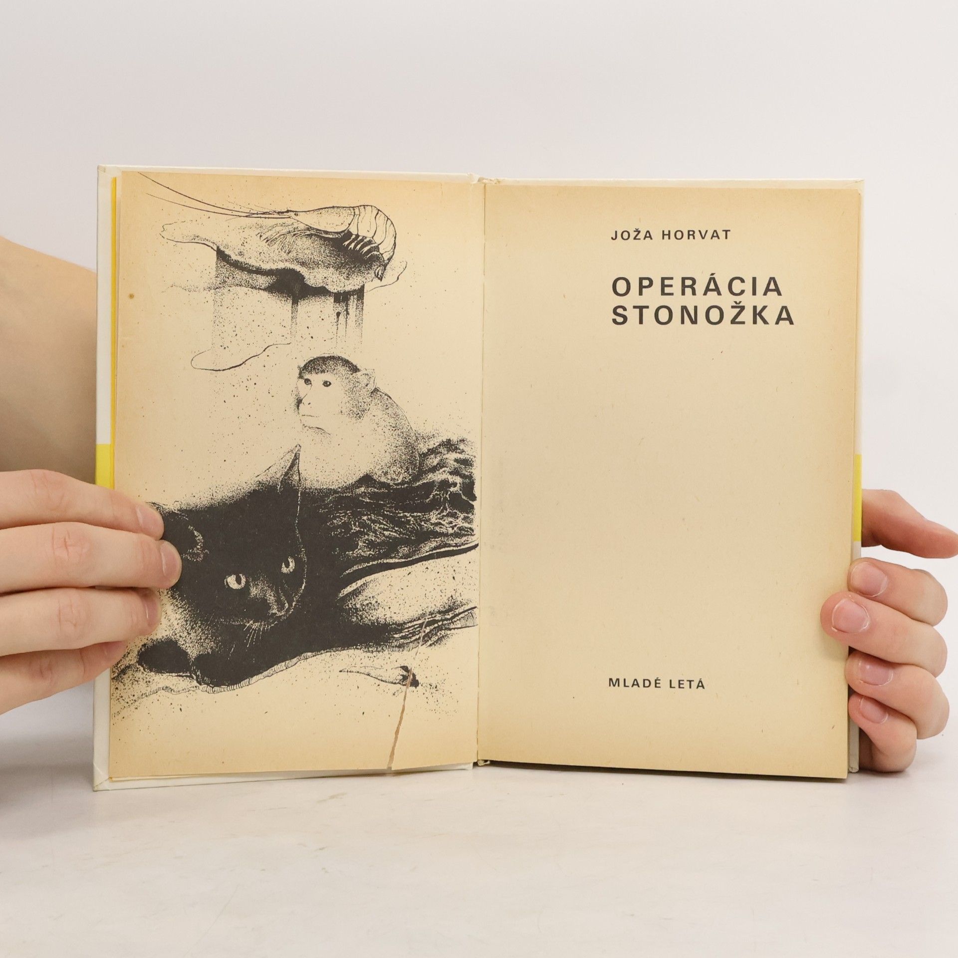 Joža Horvat Operácia Stonožka
