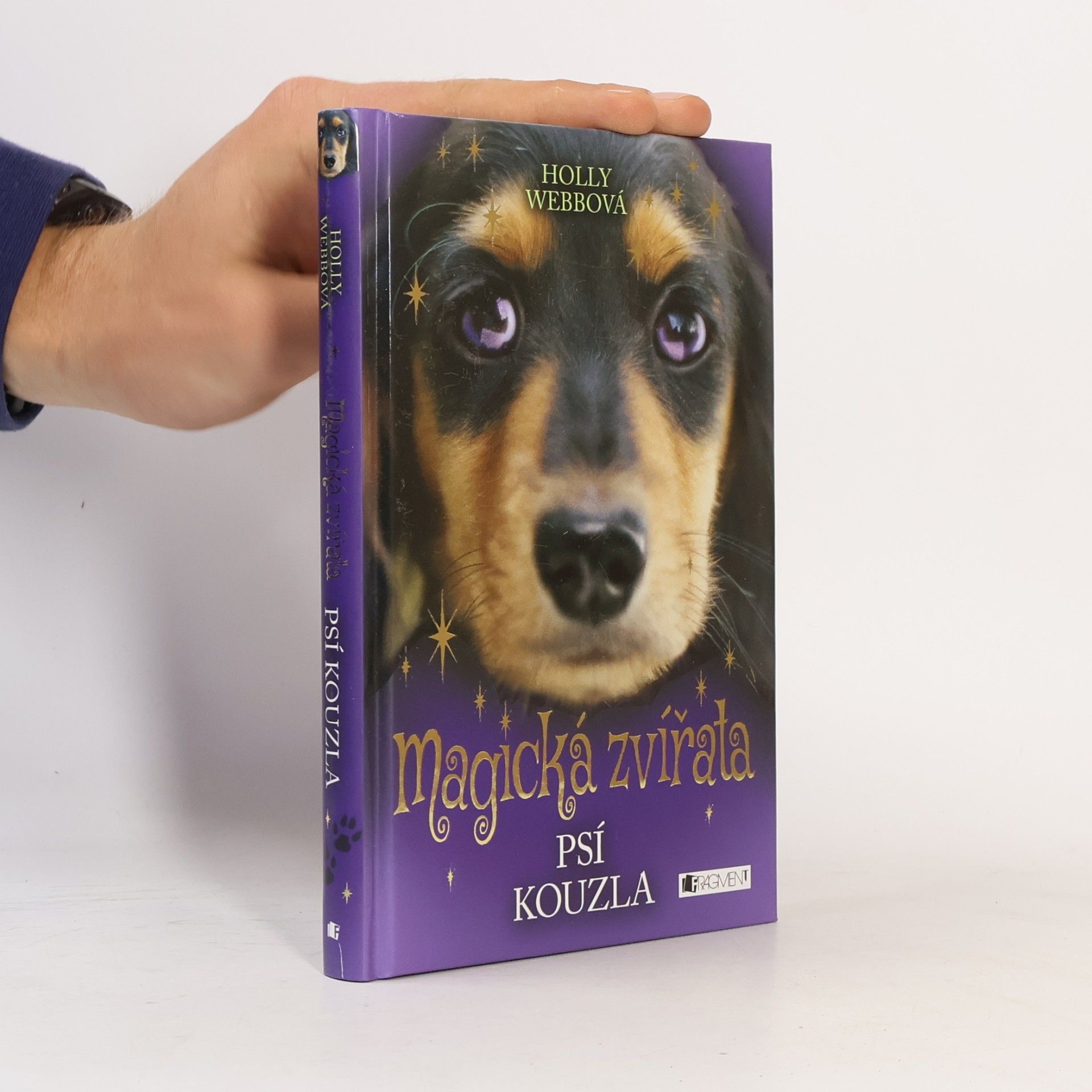 Holly Webb Magická zvířata. Psí kouzla