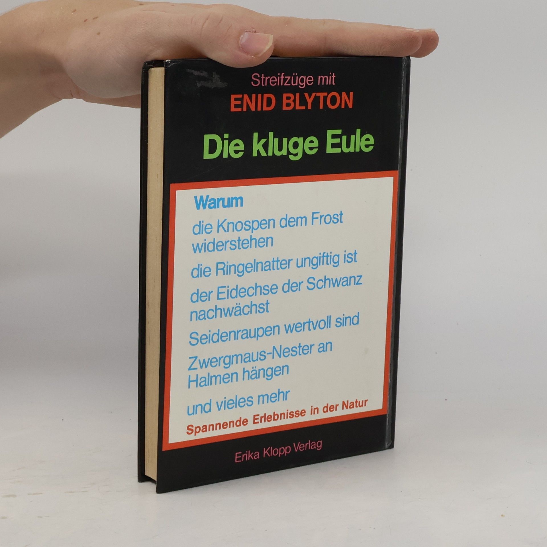 Enid Blyton Streifzüge mit Enid Blyton. Die kluge Eule