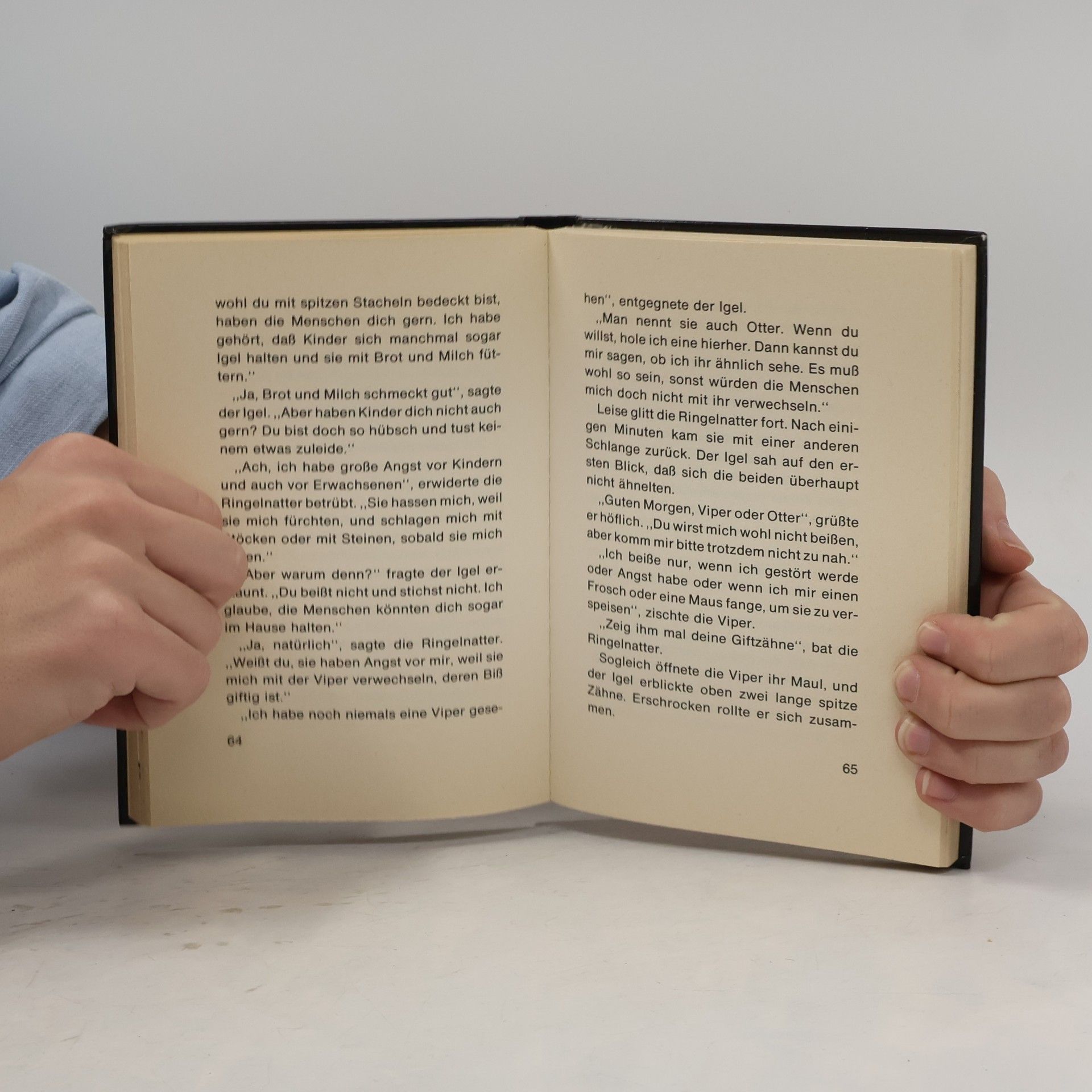 Enid Blyton Streifzüge mit Enid Blyton. Die kluge Eule