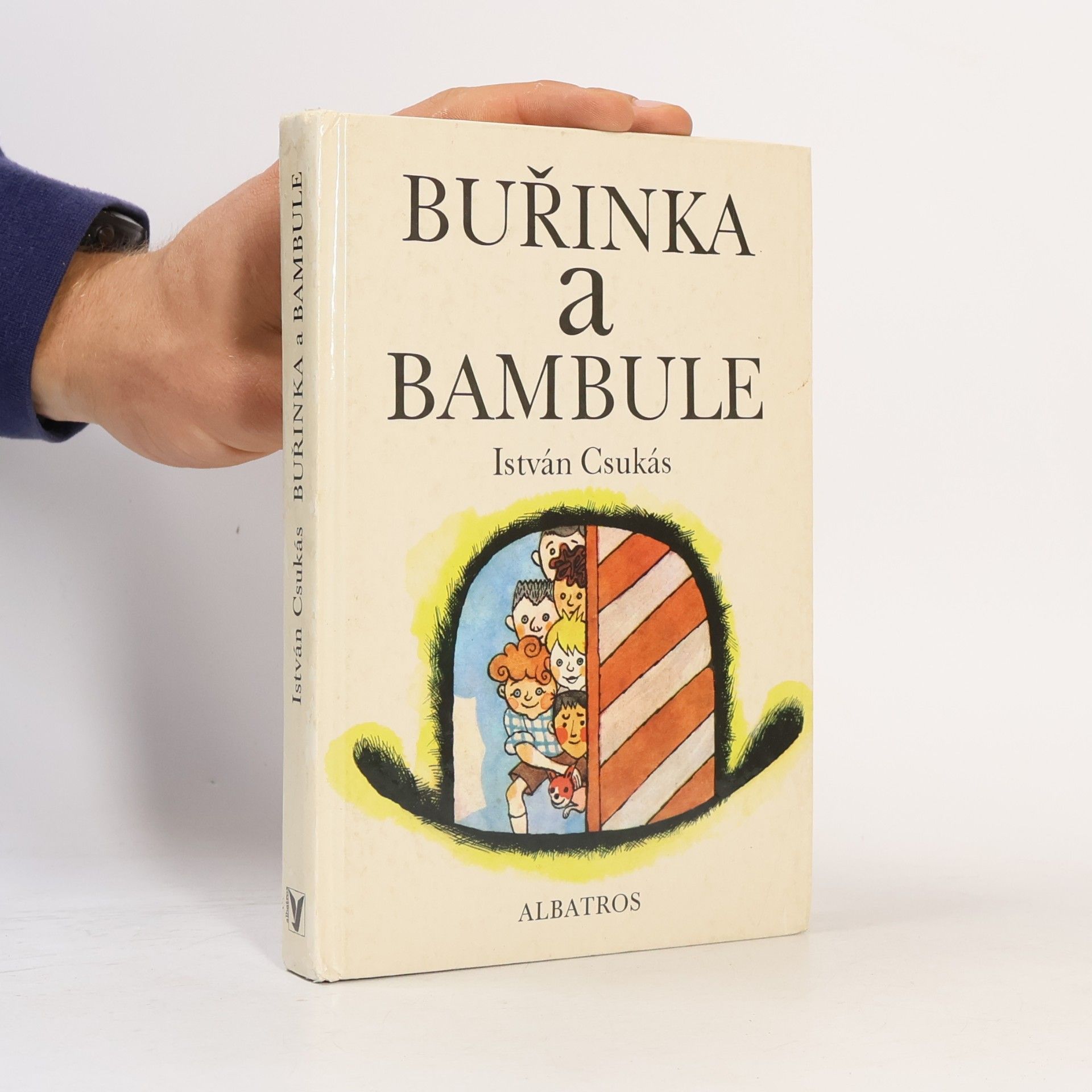 Buřinka a bambule