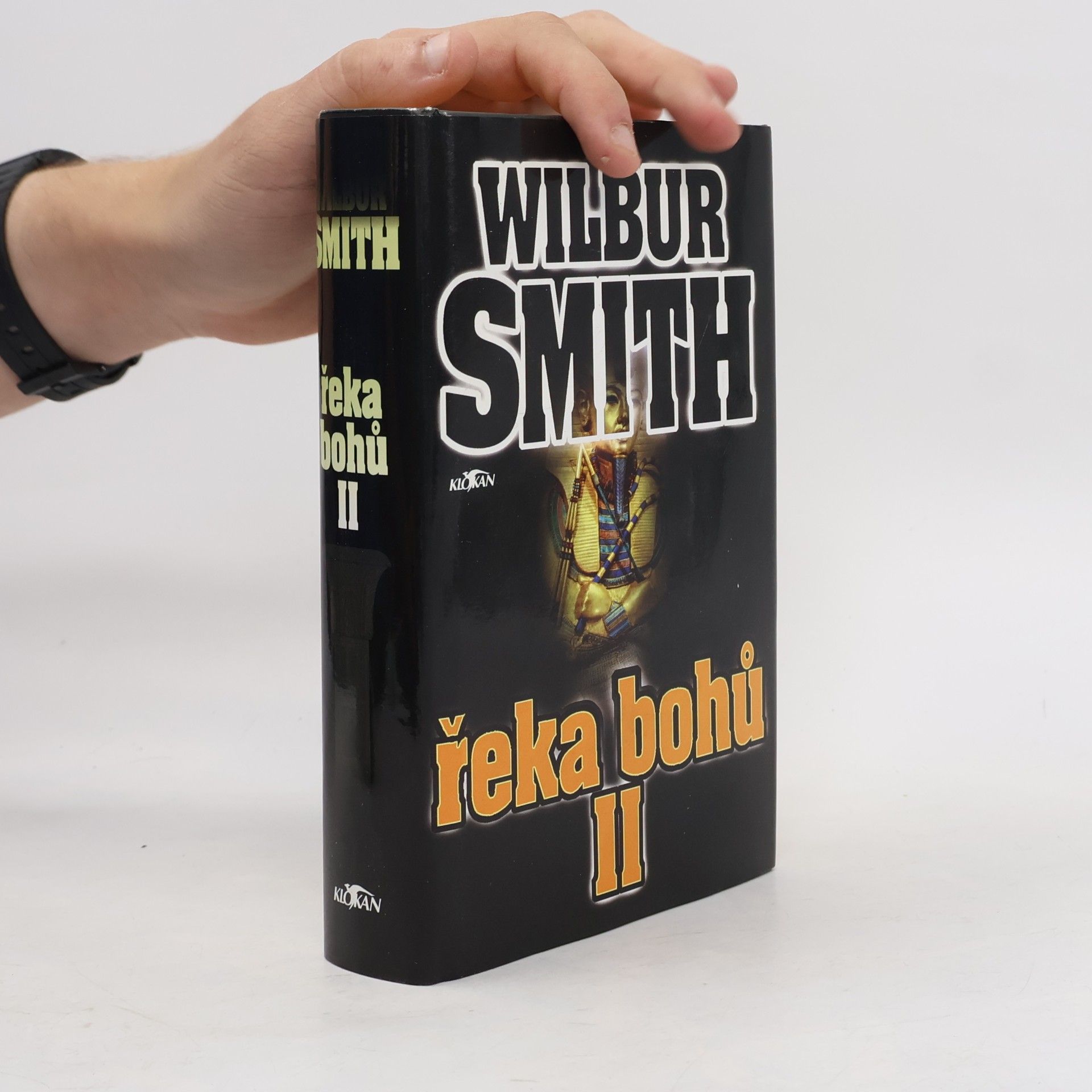 Wilbur Smith Řeka bohů II