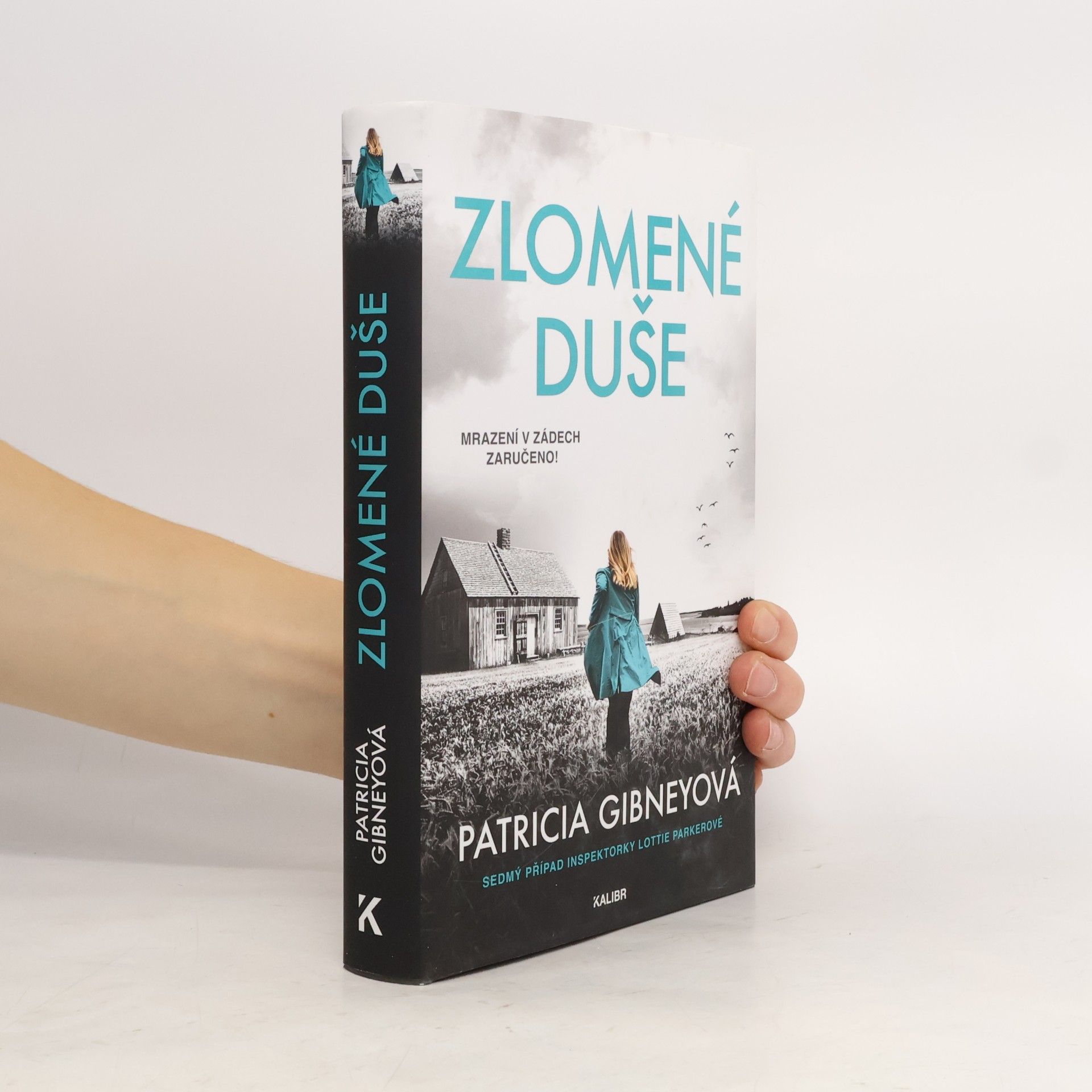 Patricia Gibney Zlomené Duše