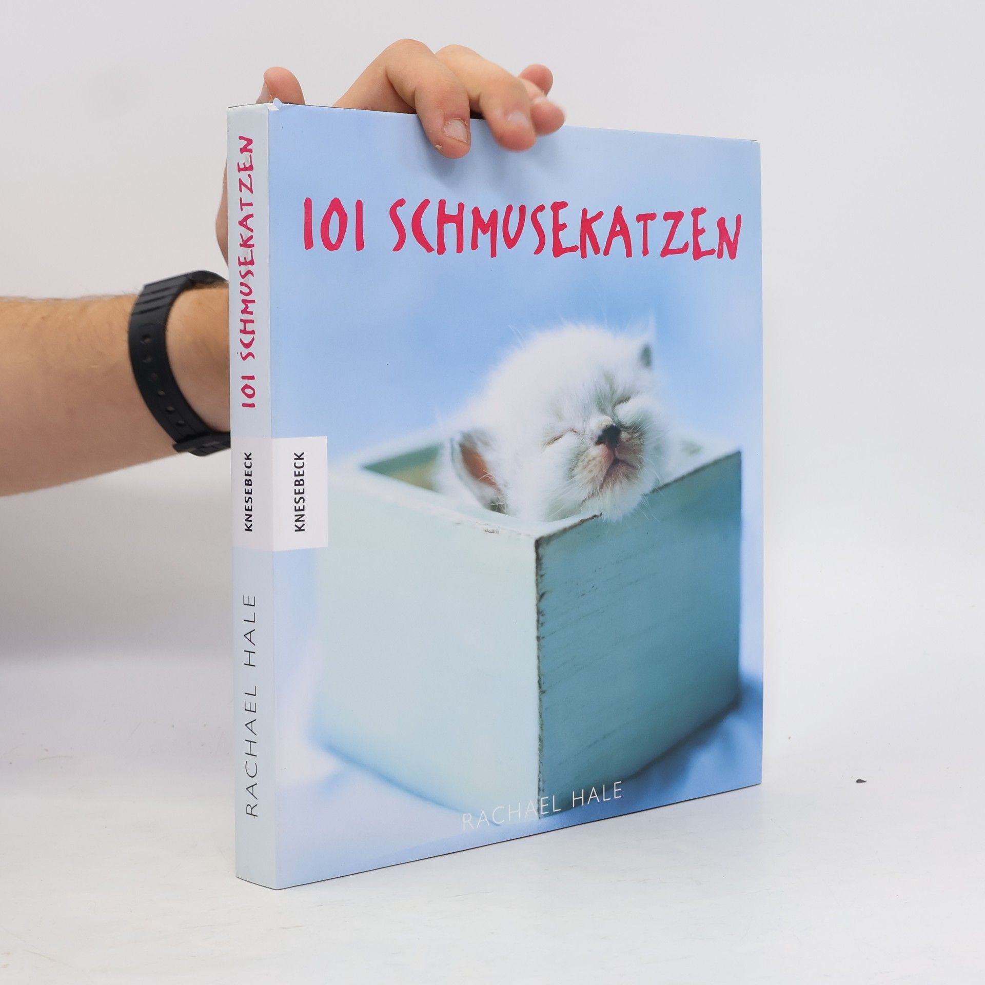 Rachael McKenna 101 Schmusekatzen
