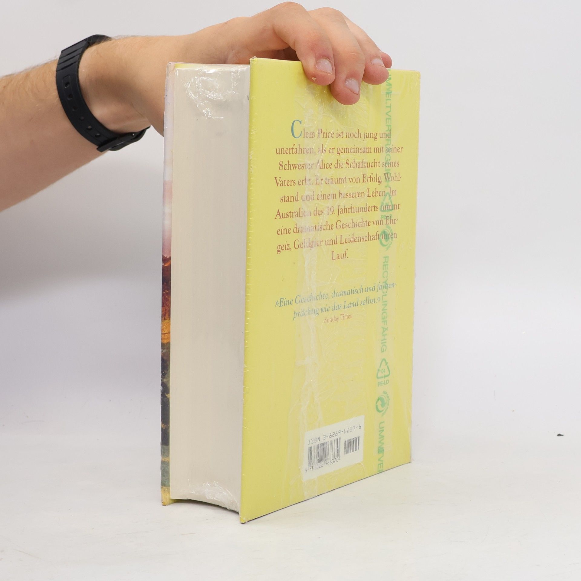 Patricia Shaw Leuchtendes Land