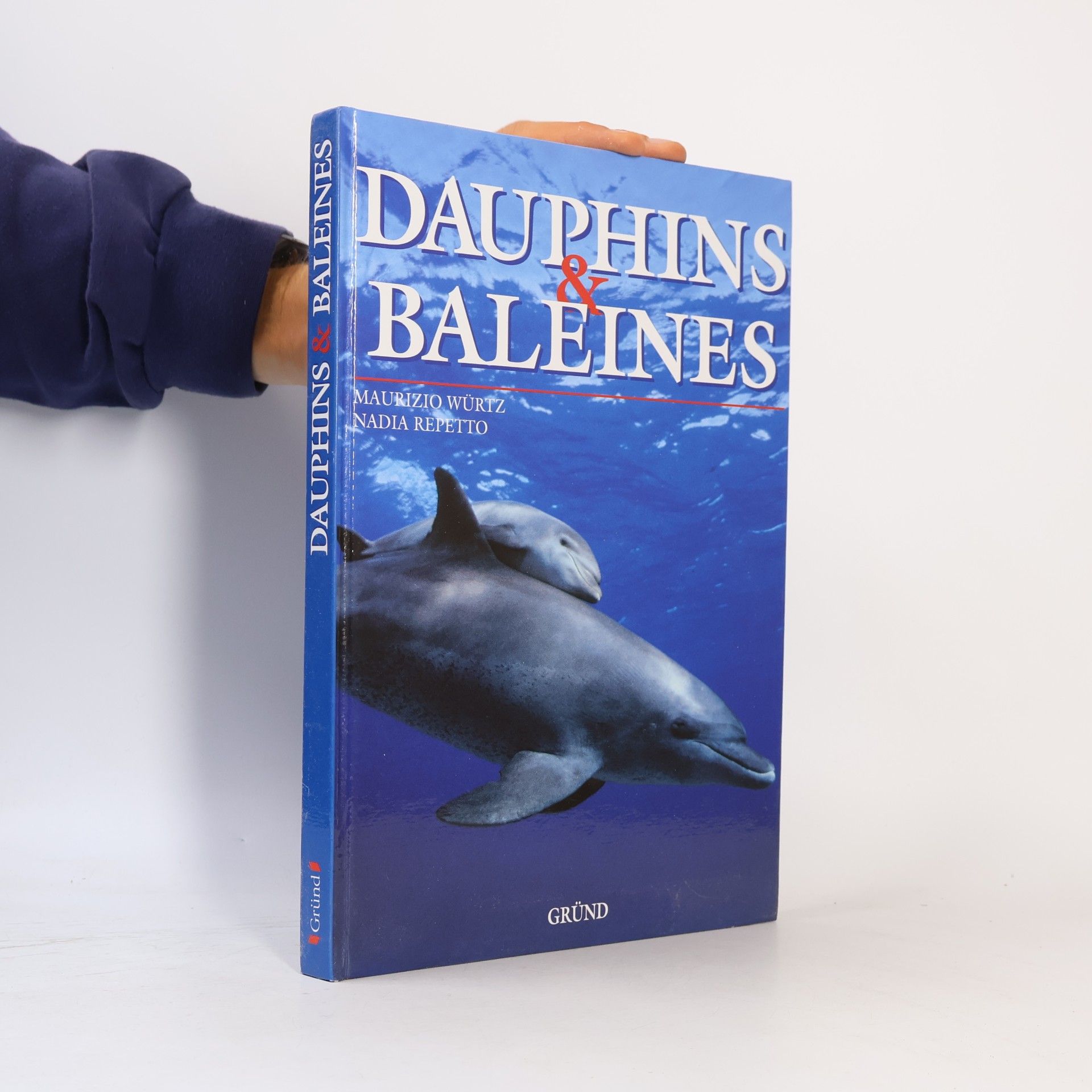 Dauphins et baleines