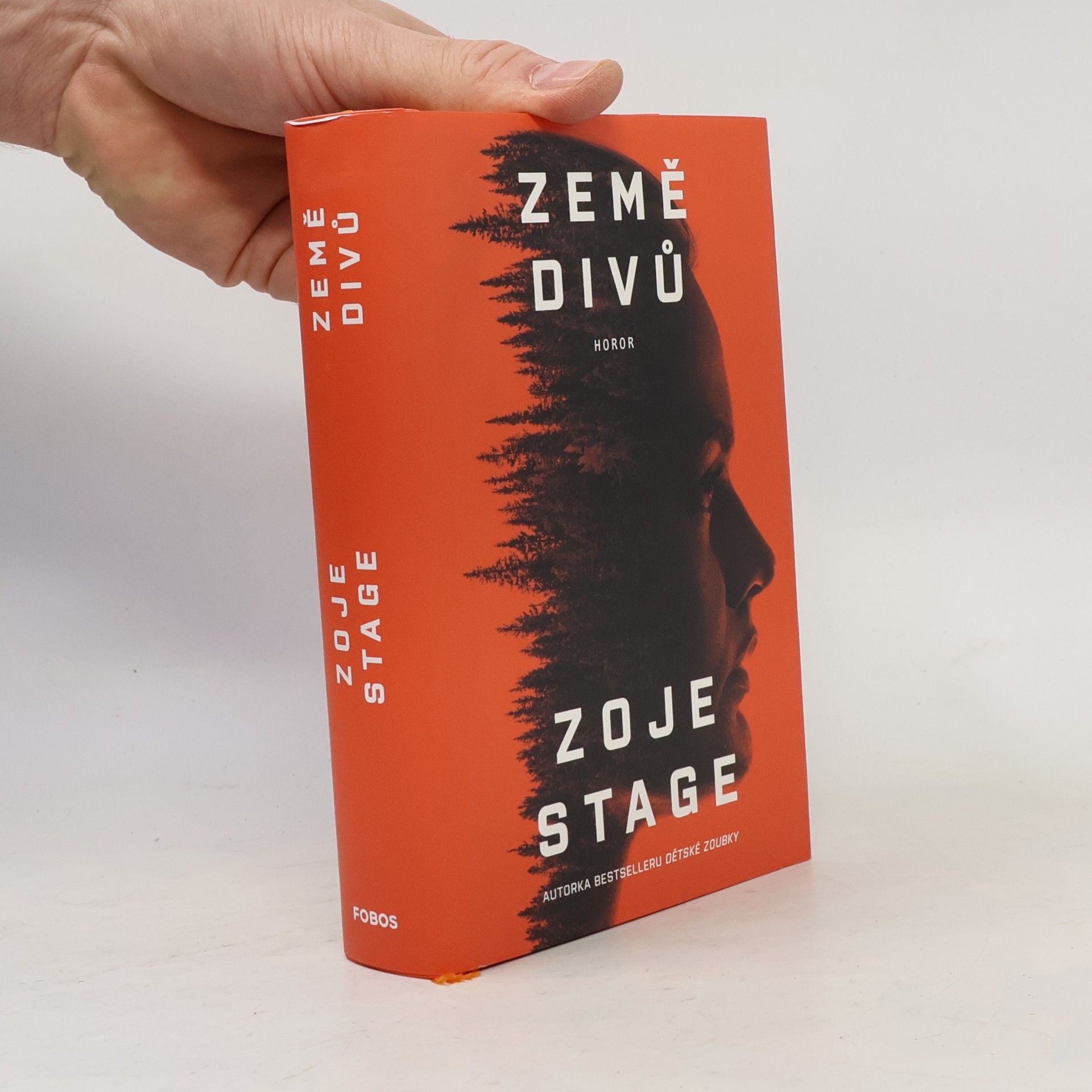 Zoje Stage Země divů