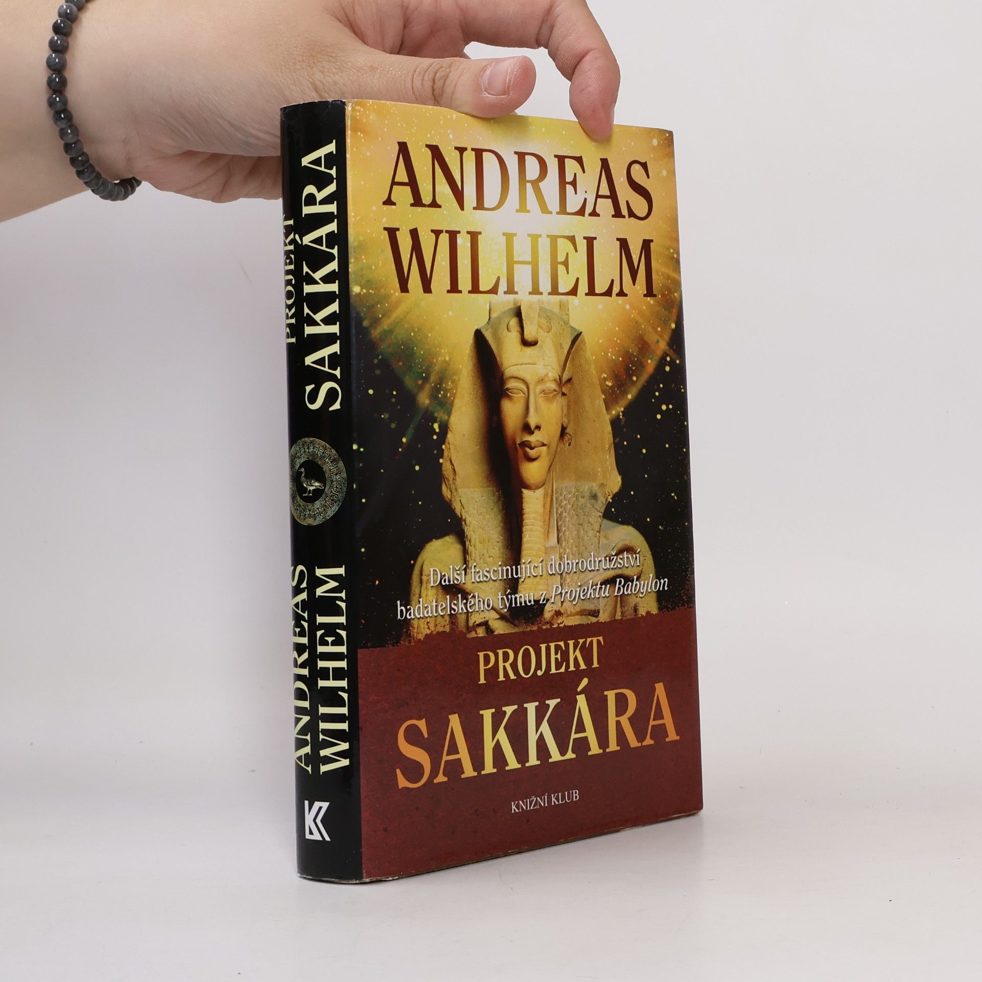 Andreas Wilhelm Projekt Sakkára