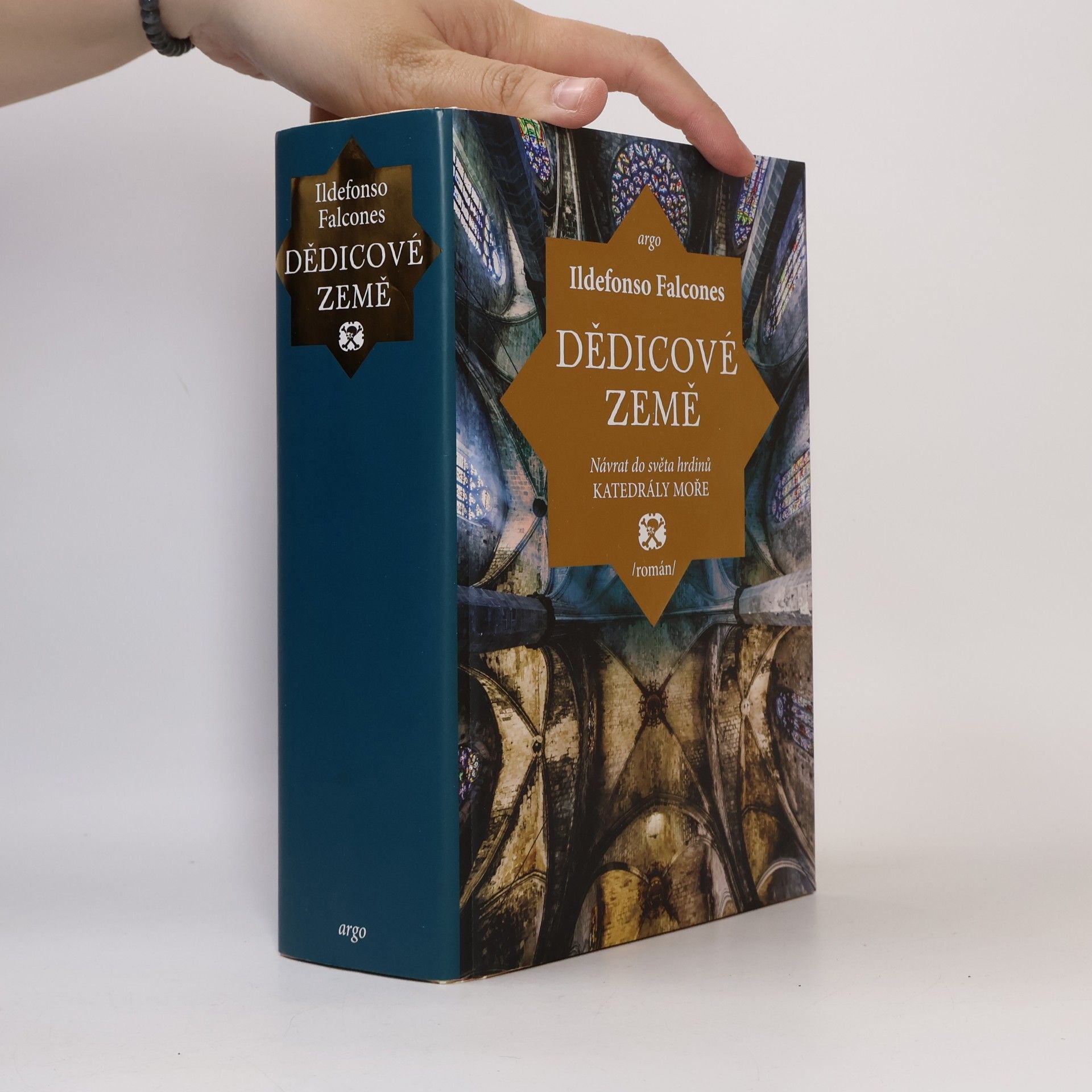 Ildefonso Falcones Dědicové země