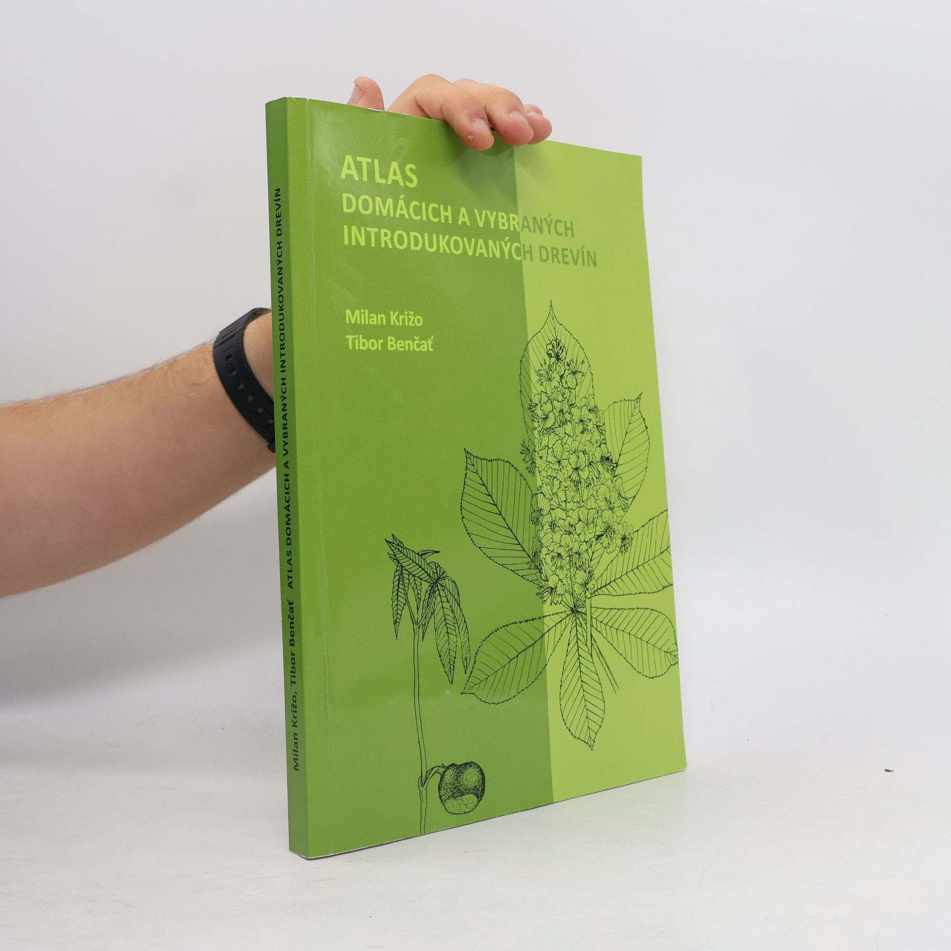 Atlas domácich a vybraných introdukovaných drevín
