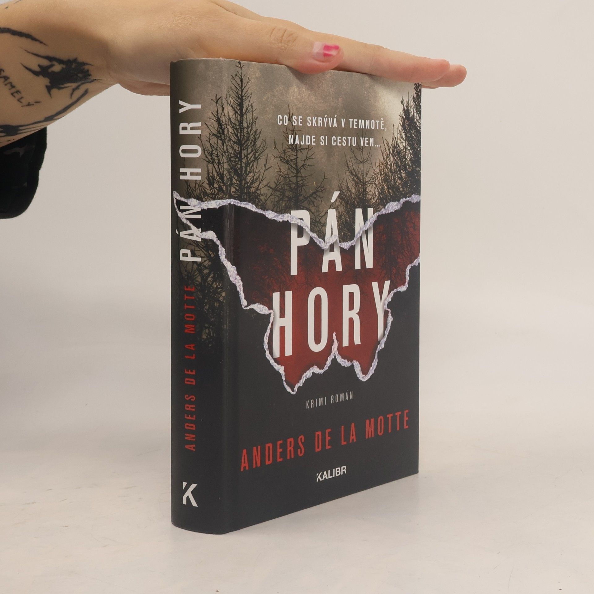Pán hory