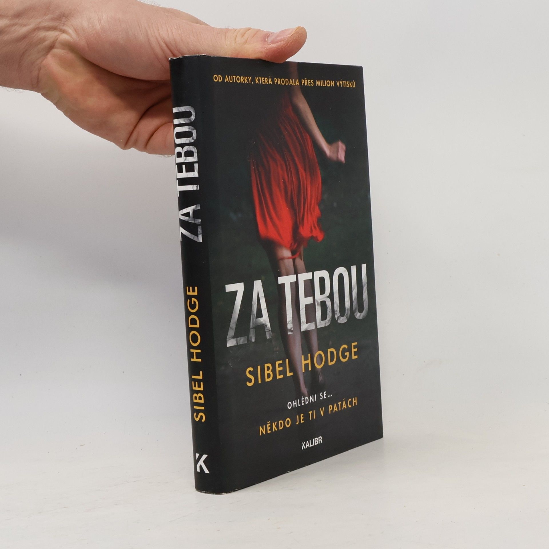 Sibel Hodge Za tebou