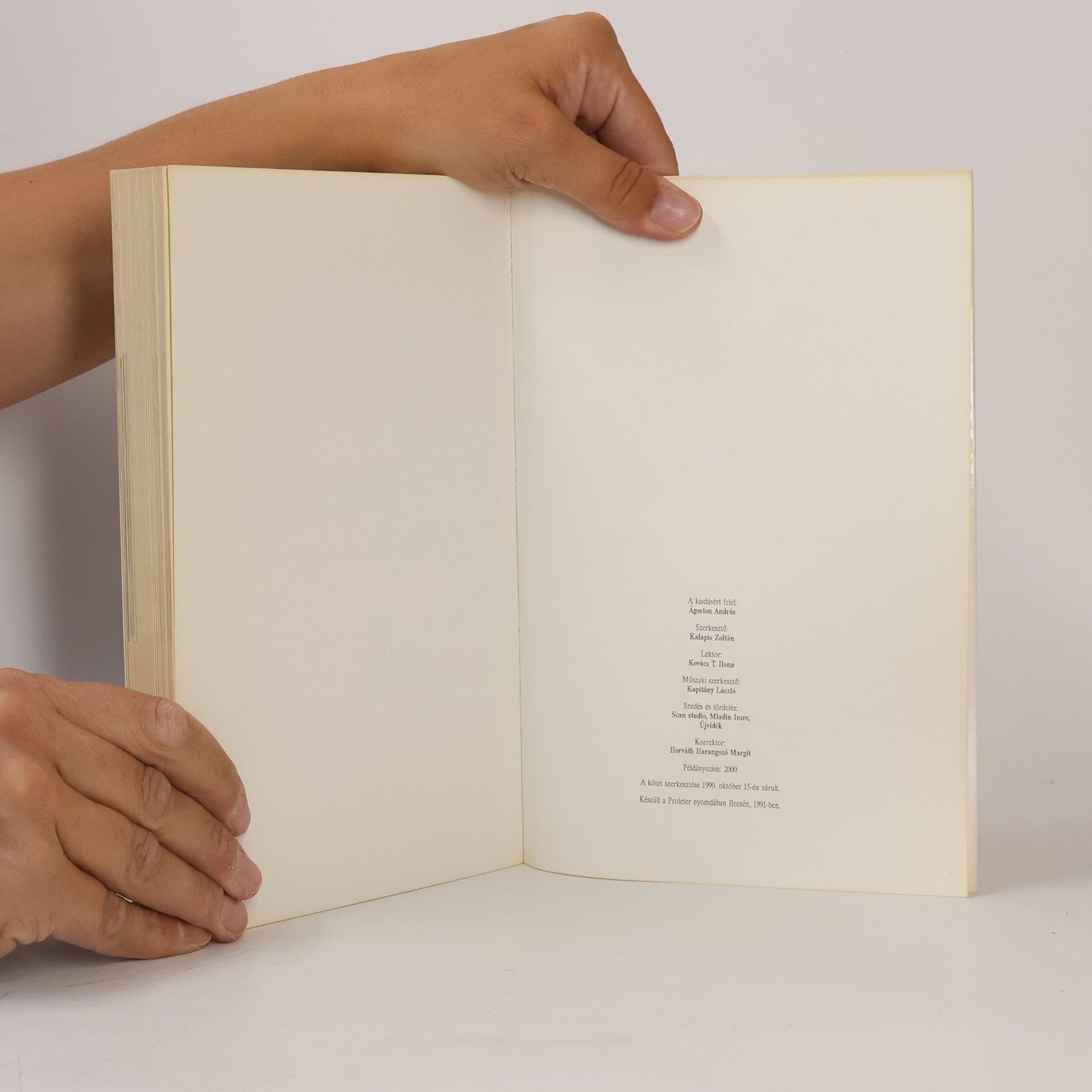 Collectif d'auteurs Magyarok Jugoszláviában '90