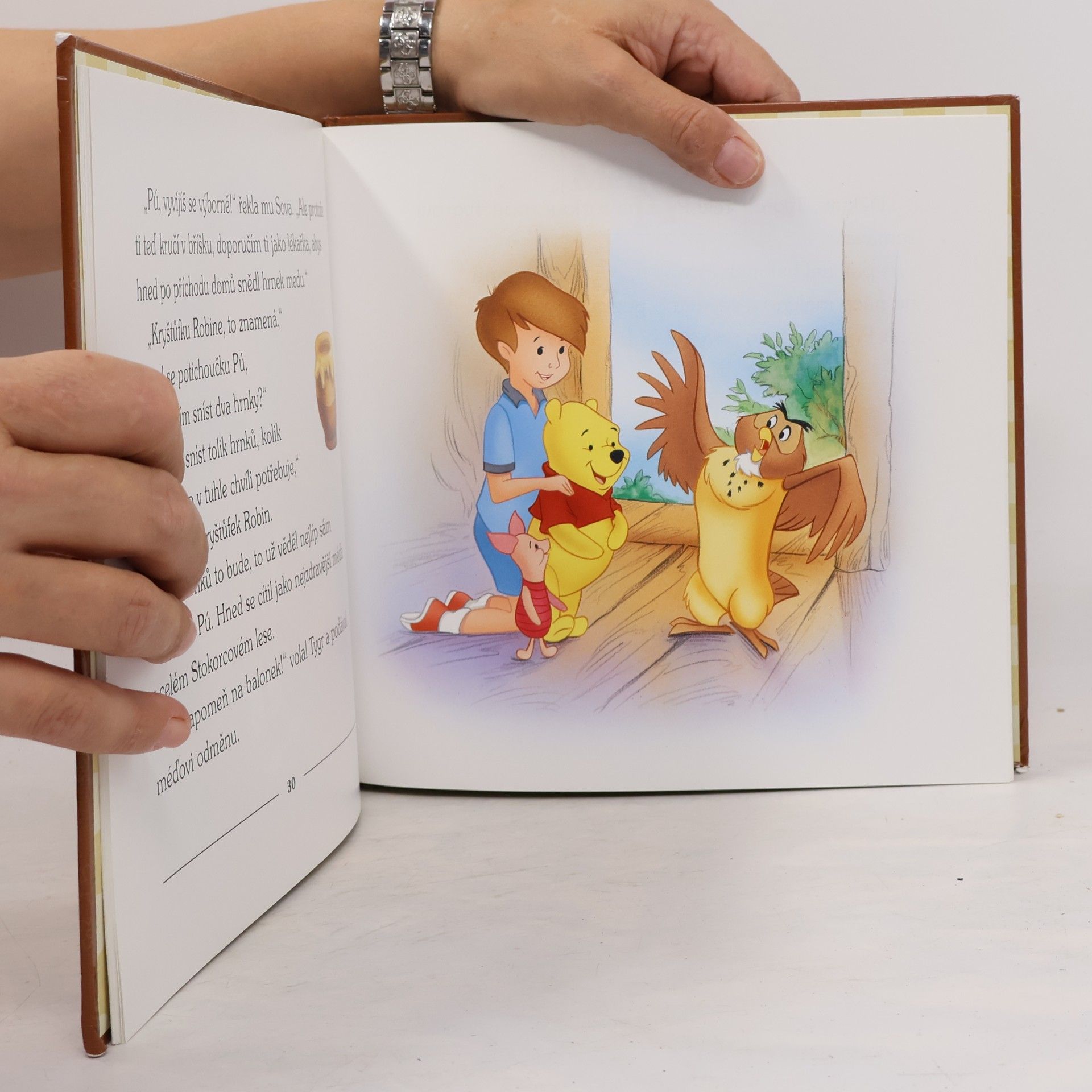 Walt Disney Medvídek Pú jde k lékaři. Jak se Tygr stěhoval