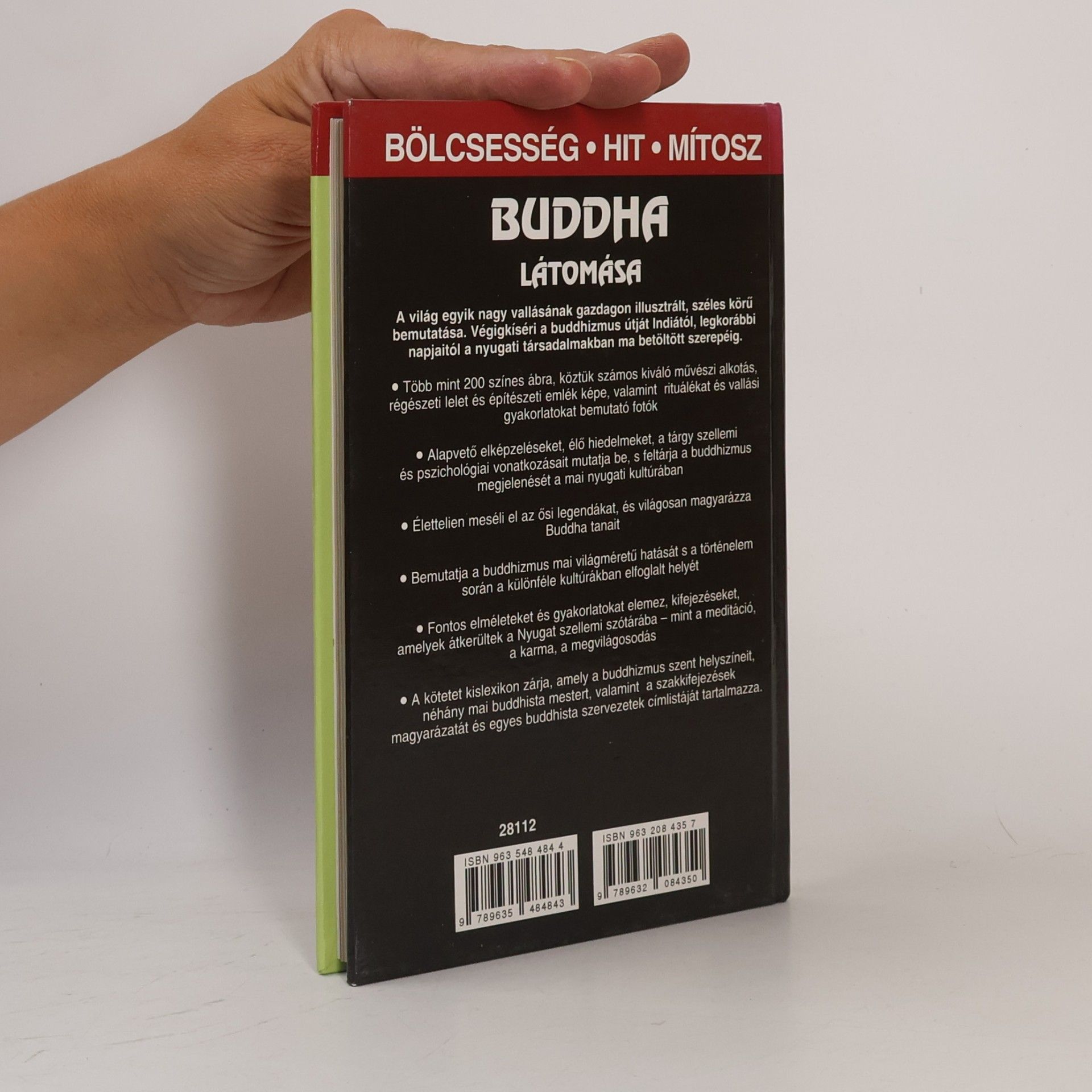 Tom Lowenstein Buddha látomása