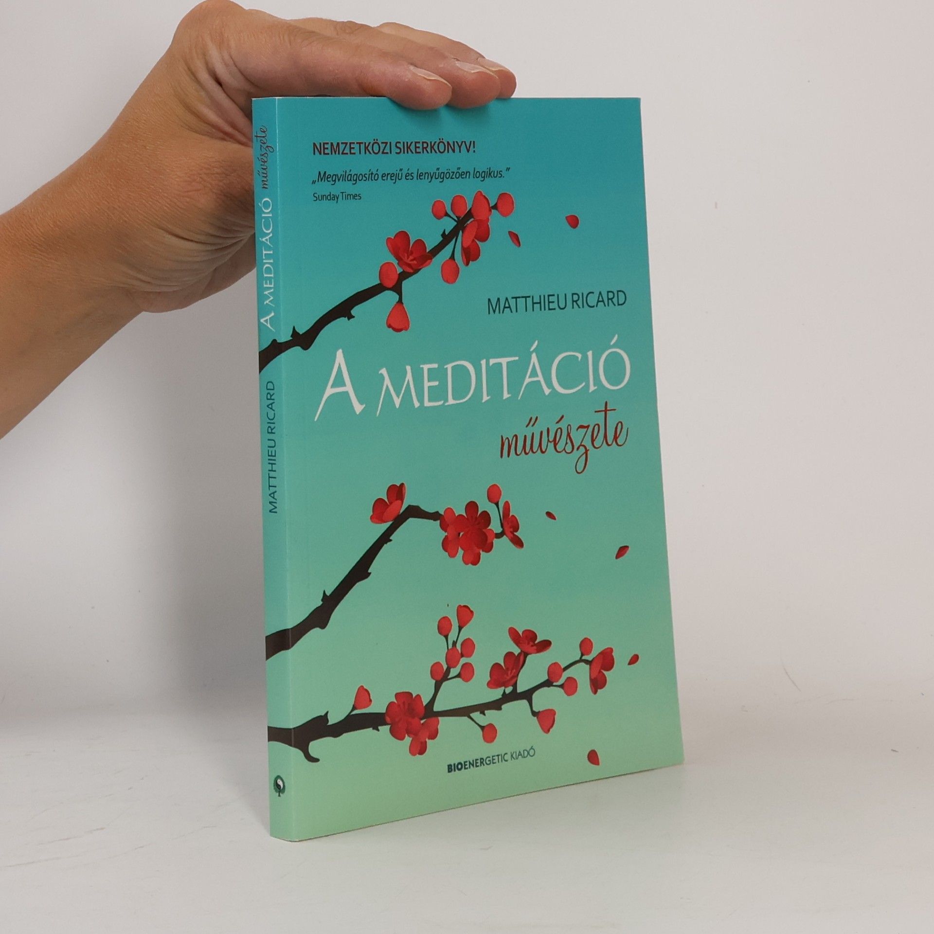 Matthieu Ricard A Meditáció művészete
