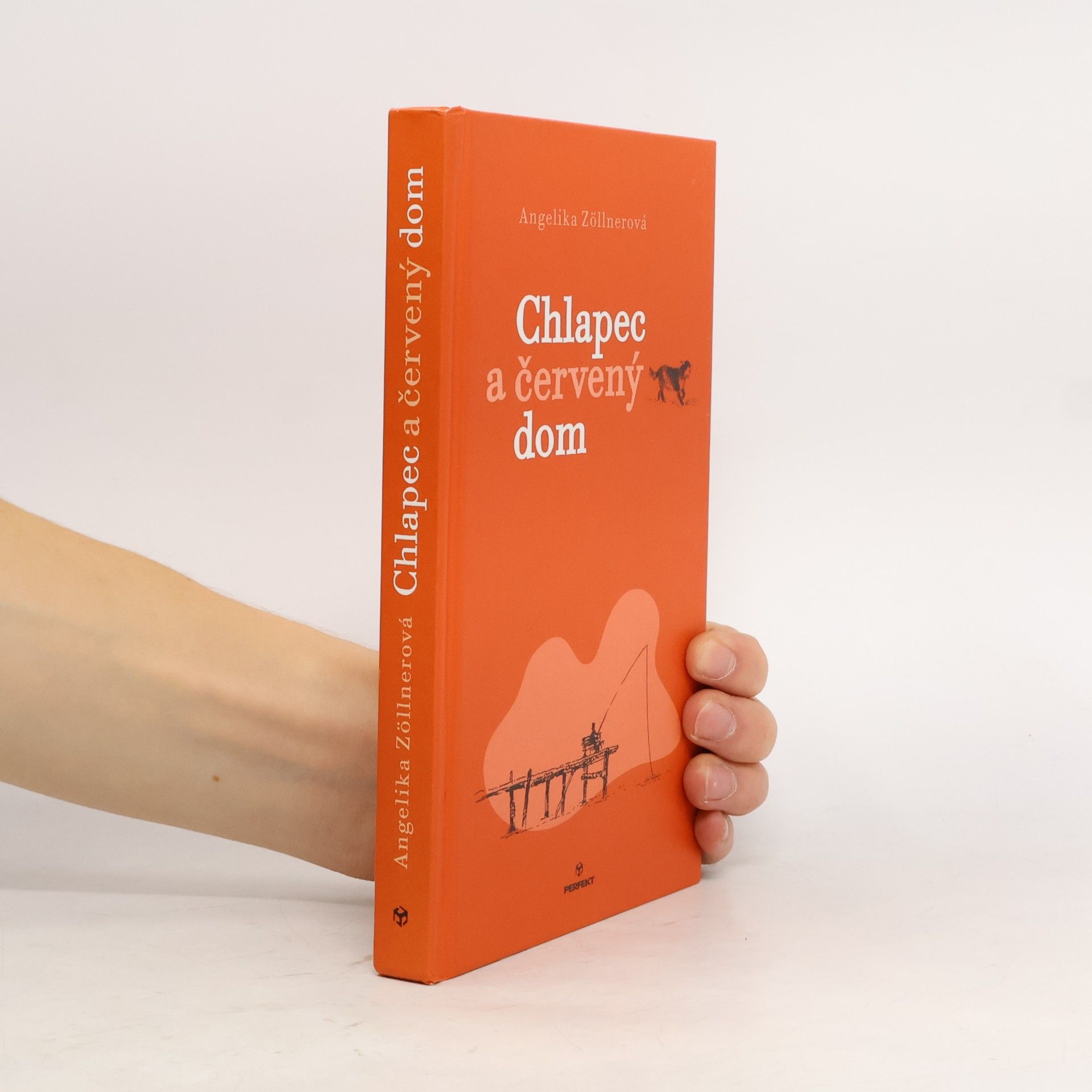 Angelika Zöllner Chlapec a červený dom